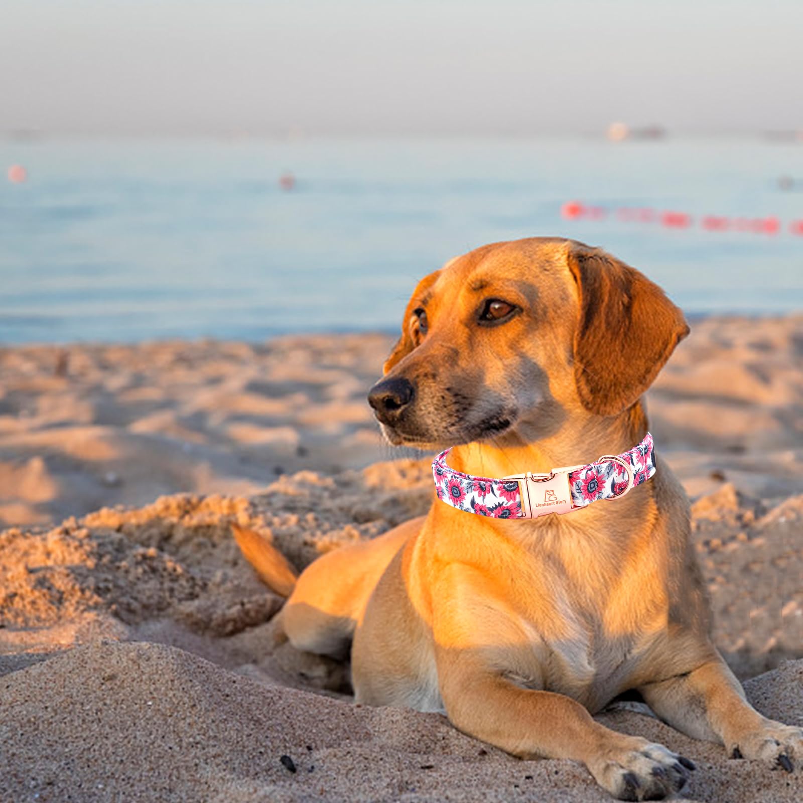 Lionheart Glory Dog Collar With Bowtie, Pink, Cotton, Unique Design, Handmade Bow, Xl, All Breeds, Dog, Adult, Large