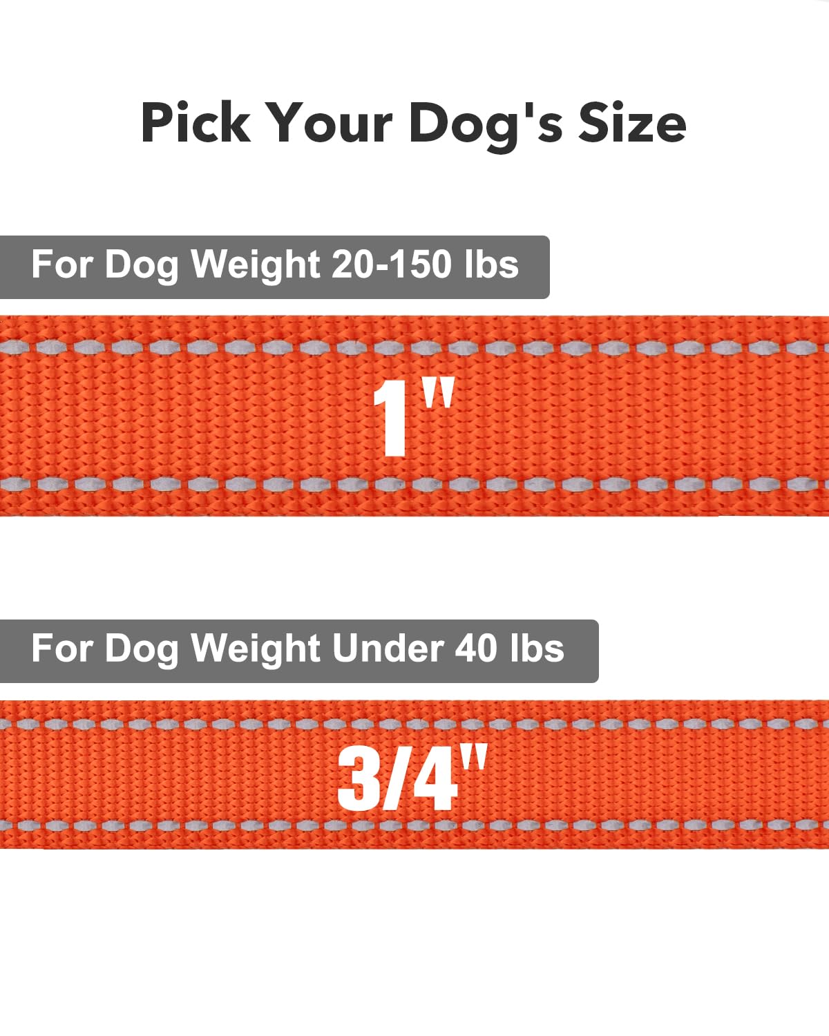 Taglory Dog Leash For Small Dogs, Double-Sided Reflective Leash With Soft Neoprene Padded Handle, 3/4 Inch By 5 Ft, Fit Small Me