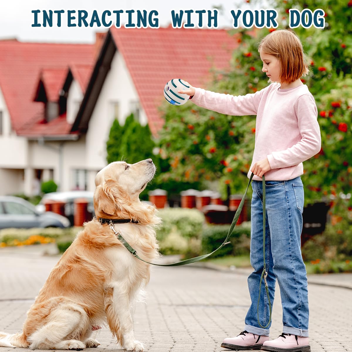 Hyq Glowing Interactive Dog Toy Ball - Squeaky For Small, Medium, Large Dogs And Puppies - Keeps Them Busy (Glow Ball, 2.75 Inch