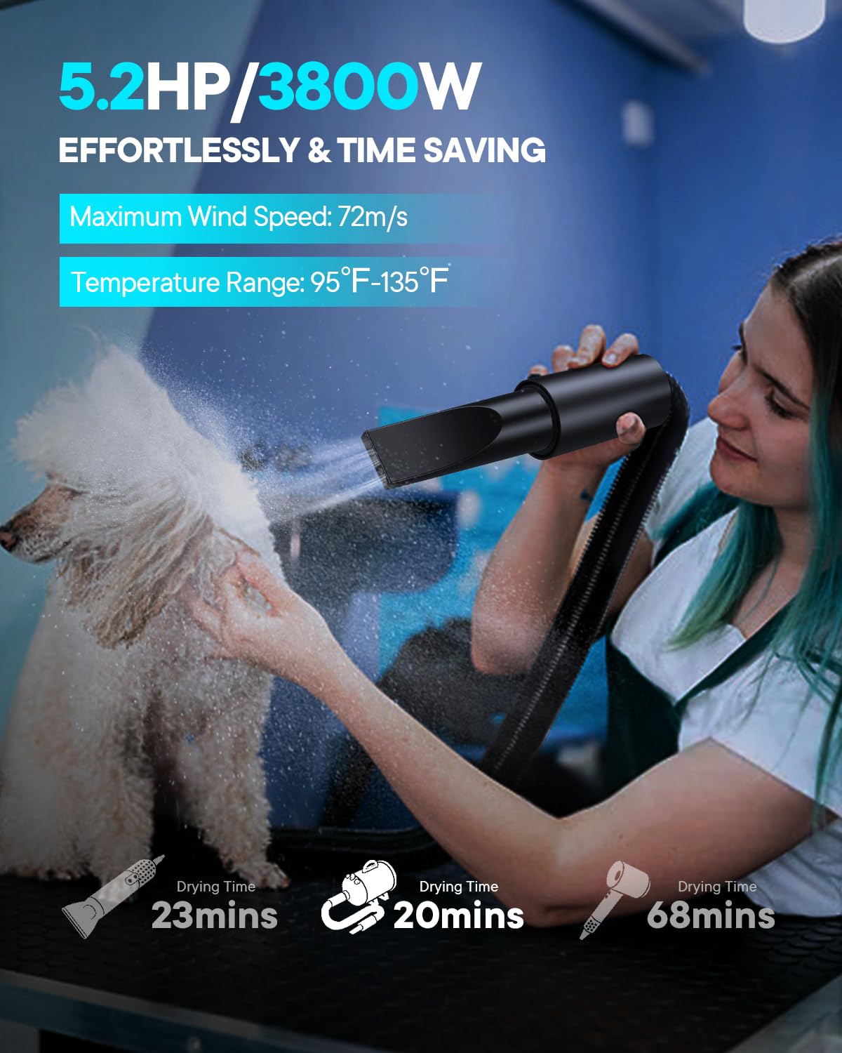 EGFKI Dog Dryer 5.2HP High Velocity Hair Blower with 4 Nozzles, Adjustable Speed & Temperature, Dark Black Pet Grooming Tool