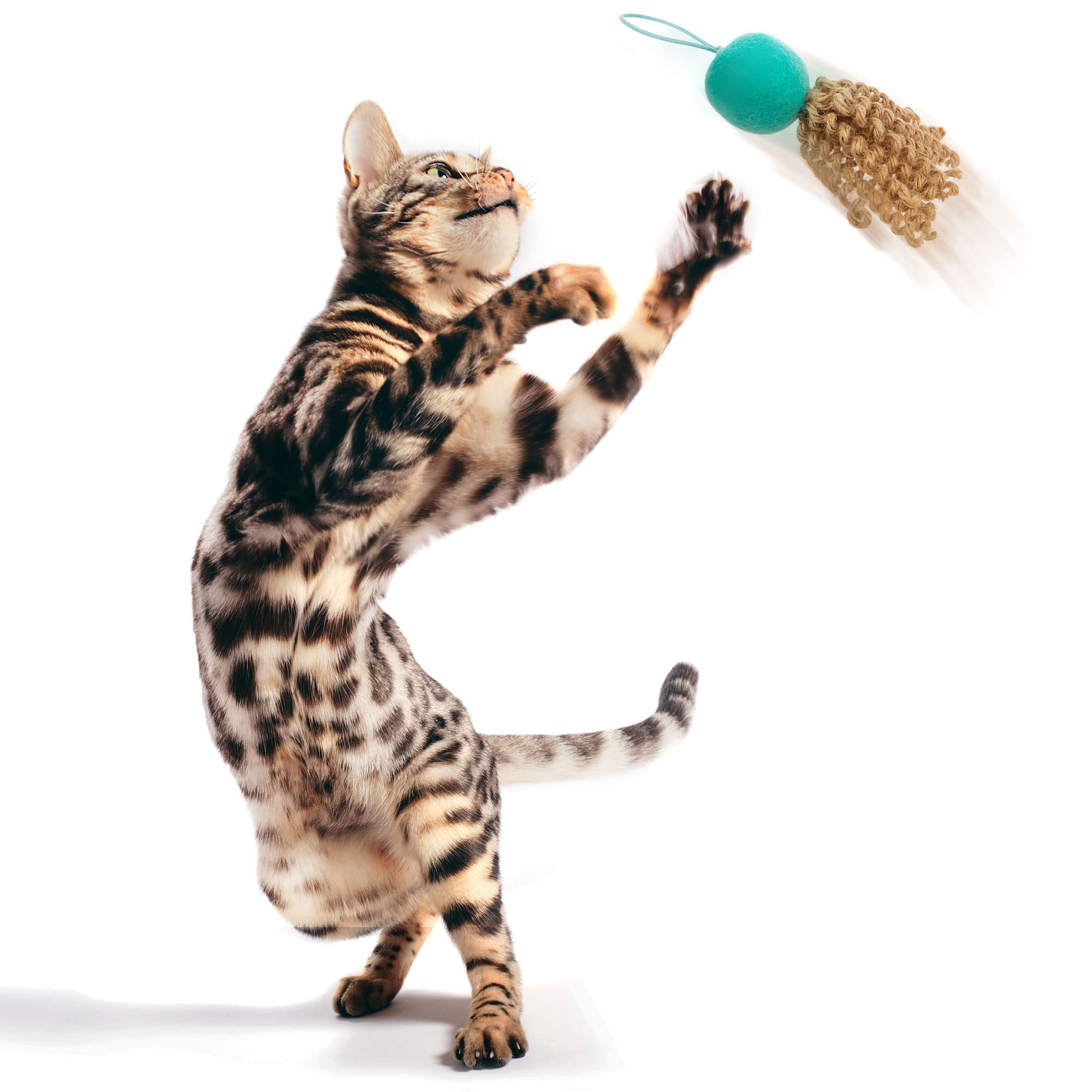 Petlinks Crazy Flyer Launcher Cat Toy - Teal, One Size