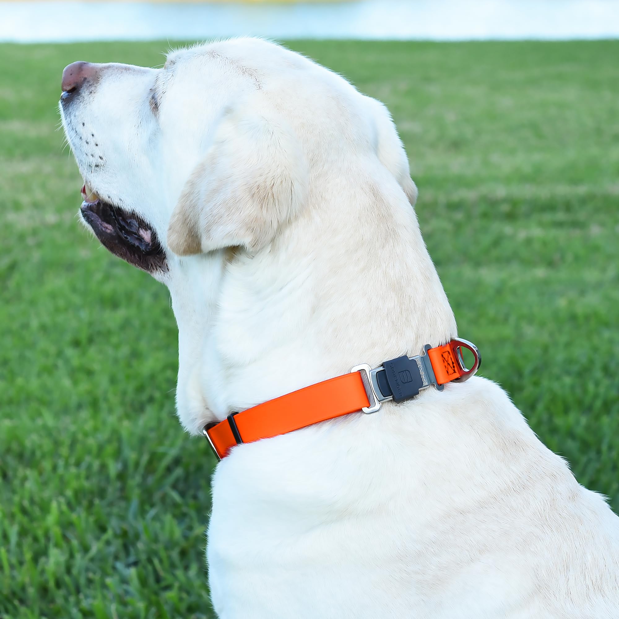 Dogline Biothane Waterproof Dog Collar With Herm Sprenger Stainless Steel Quick Release Buckle - Heavy Duty Tactical Durable Col