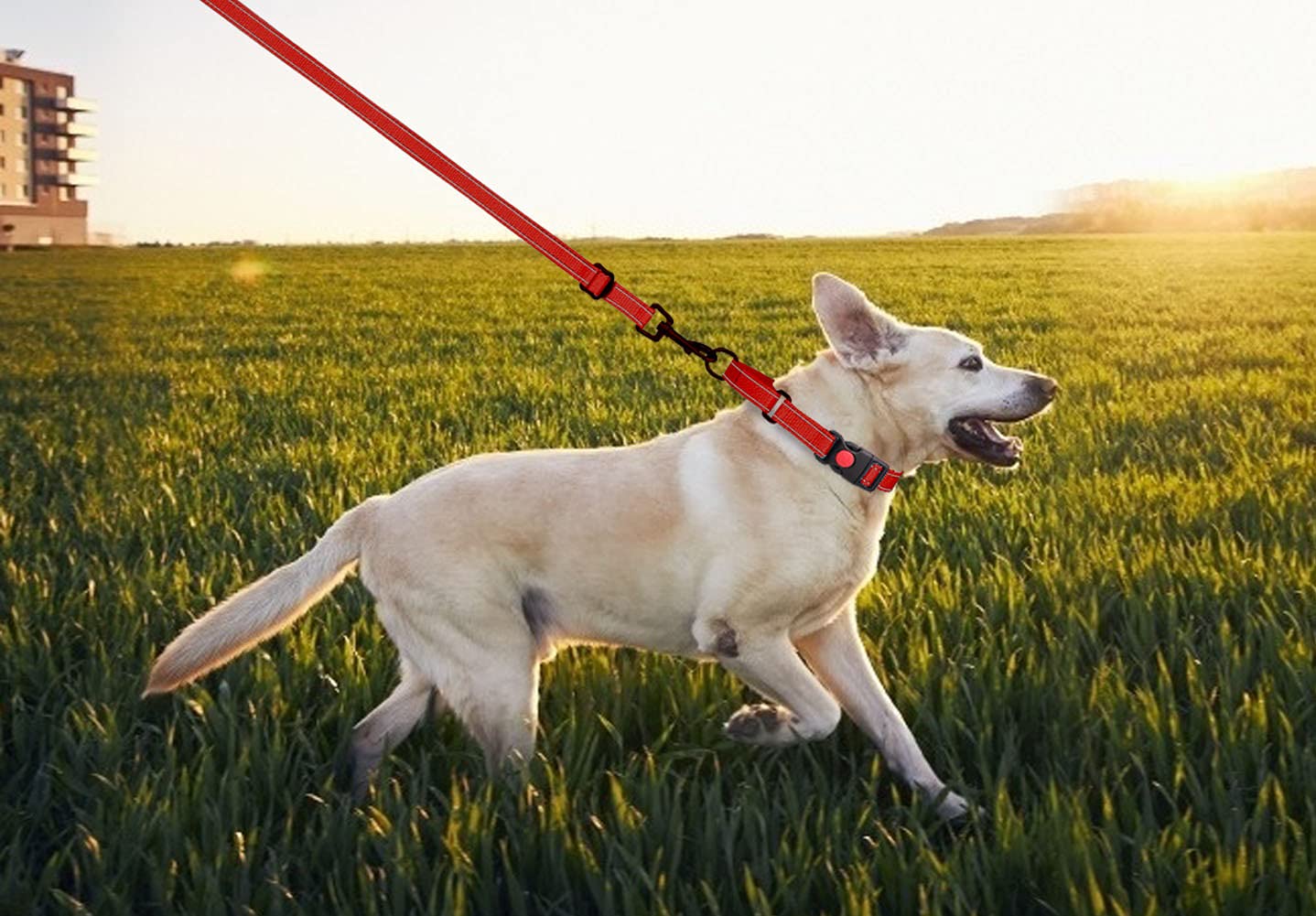 Martingale Dog Collar And Leash Set Martingale Collars For Dogs Reflective Martingale Collar For Small Medium Large Dogs(Red&L)