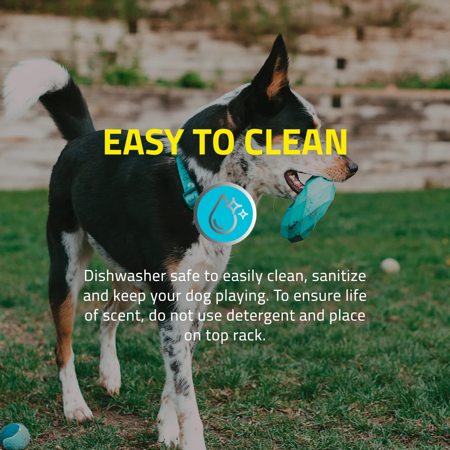 Playology Dual Layer Bone Toy - Engaging All Natural Cheddar Cheese Scented Dog Toy, Large - Chew, Toss, Fetch, And Play!