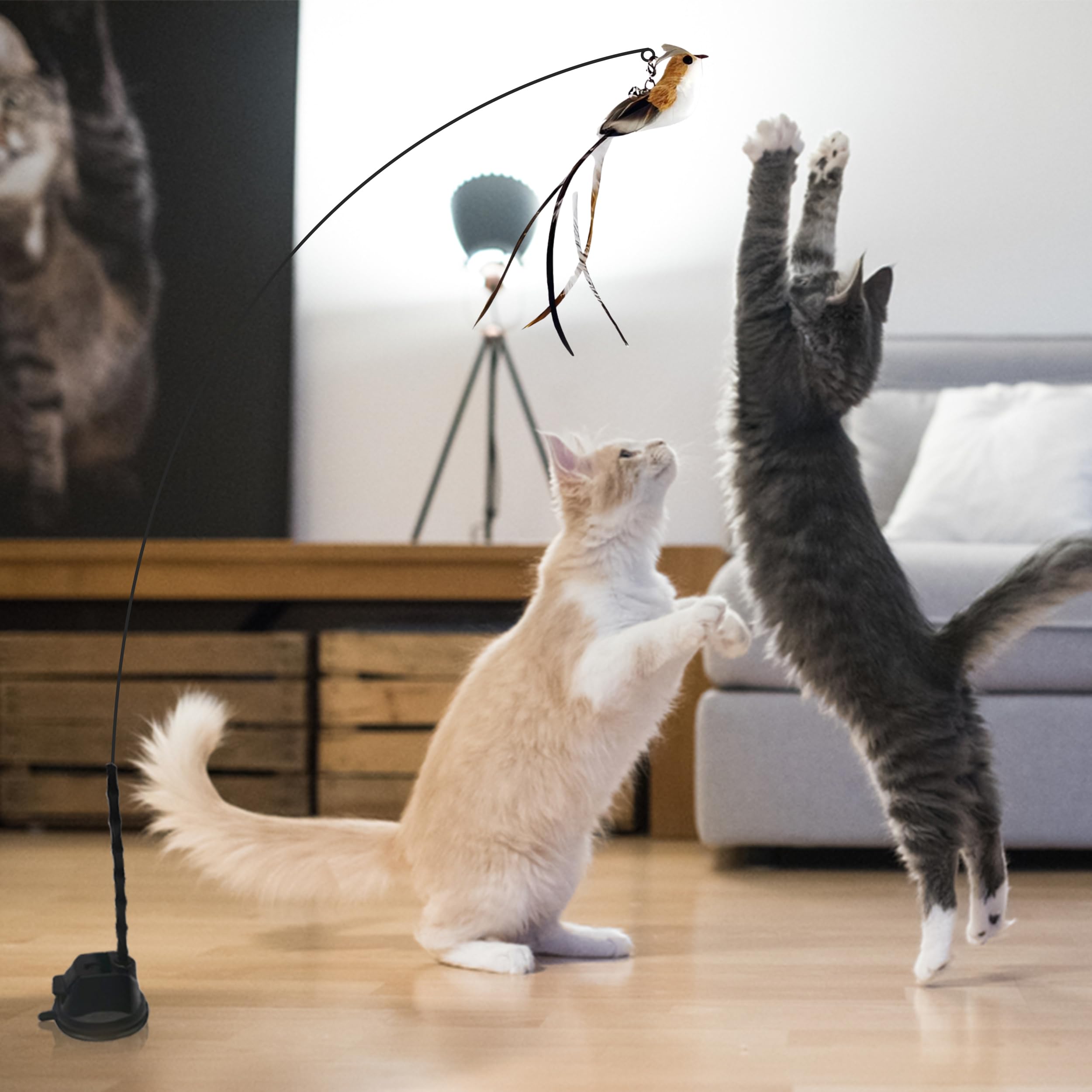 Cutie Paw Pal Interactive Suction Cup Cat Toy For Indoor Cat, Long Tail Feather Bird, Spring Wire Suctions To Ground, Hands Free