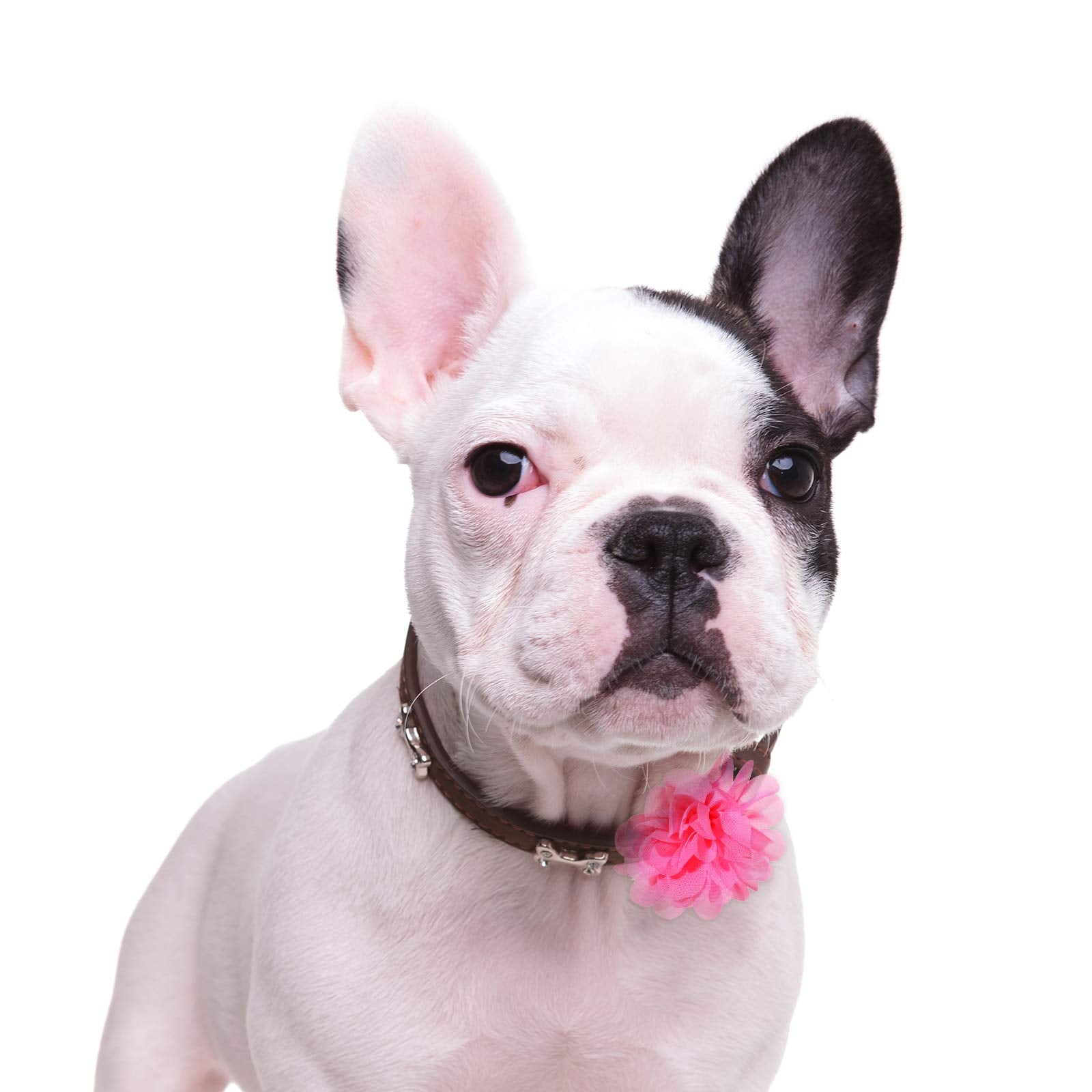 Willbond 30 Pieces Dog Collar Flowers Bulk Pet Flower Bow Ties Multi-Color Dog Charms Flower For Cat Puppy Dog Collar Grooming Accessories 30 Colors (7 Cm)