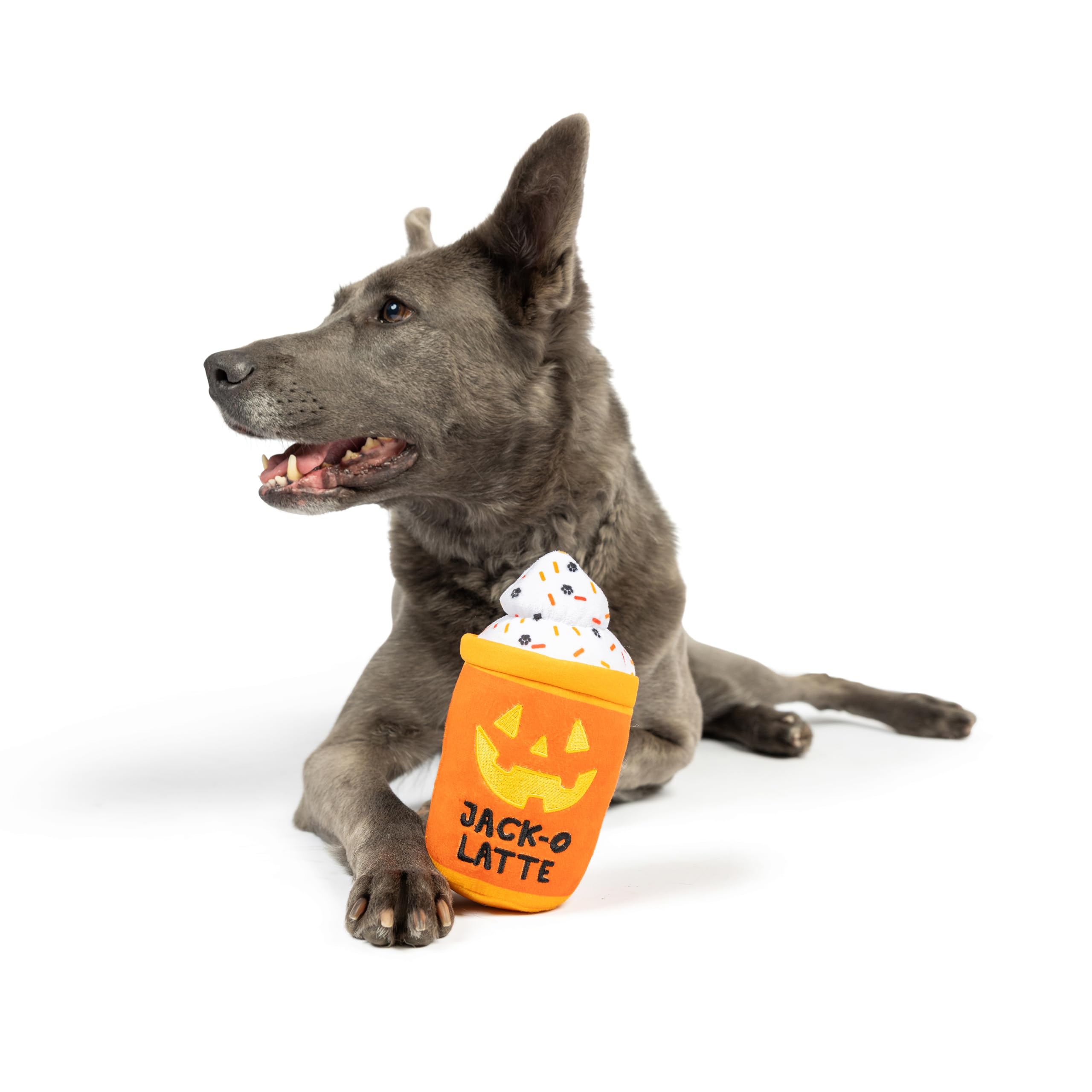 Huxley & Kent For Dogs | Jack-O-Latte | Halloween Fall Power Plush Dog Toy With Squeaker | Funny Dog Toy | Cute Dog Toy | H&K Squeaky Dog Toy