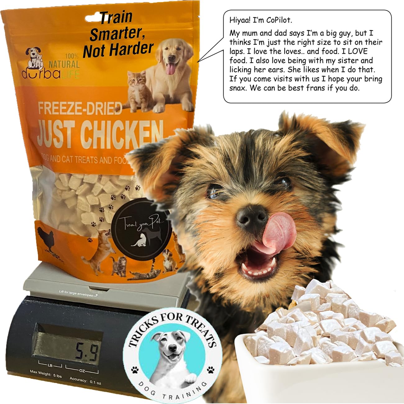 DurbaLife Freeze Dried Dog and Cat Treats Food Topper (5.1 oz (~145g), Just Chicken (Large Pack))