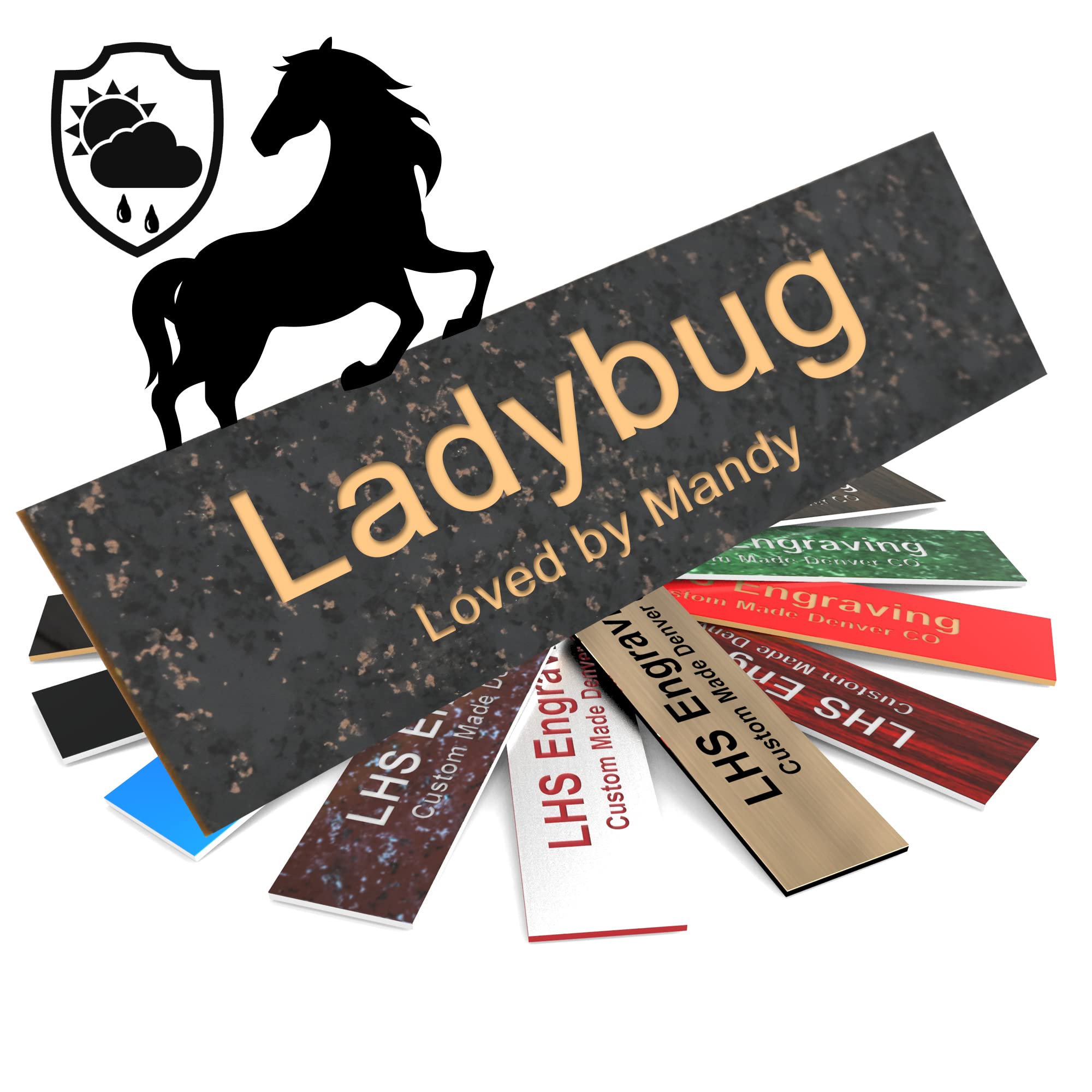 Lhs | Horse Stall Name Plate, 2X6 Personalized Stall Signs, Uv Protected, All Weather Adhesive, Hanging, Mounting Or Other, Char