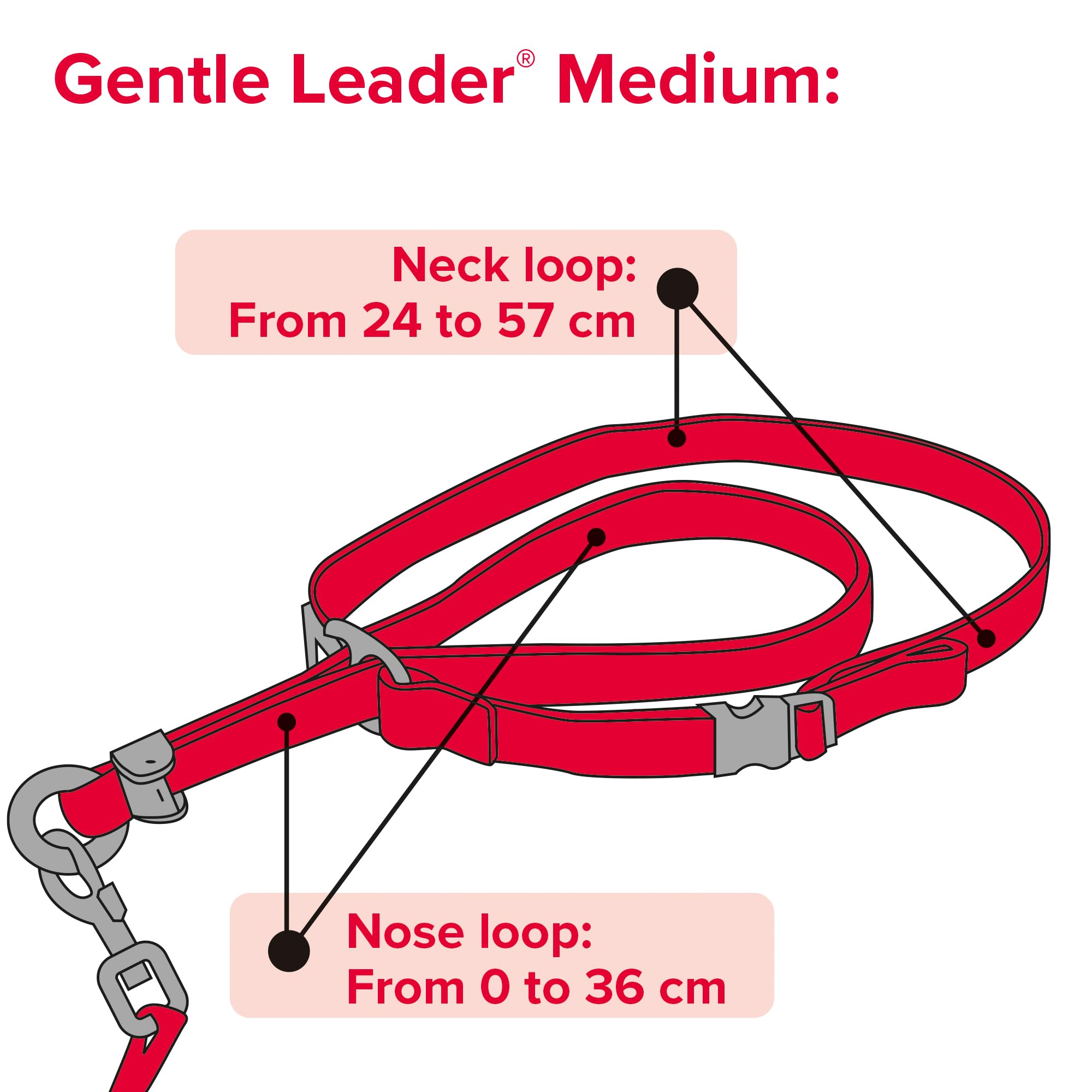 Beaphar | Gentle Leader | Head Collar For Medium Dogs | Stops Pulling On The Lead | Training Aid With Immediate Effect | Endorsed By Behaviourists | Red X 1