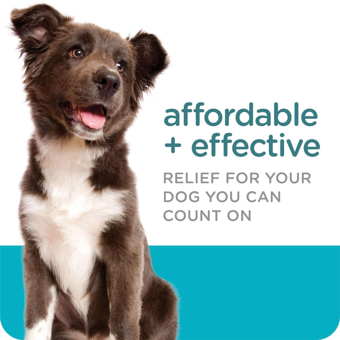 Sergeants Guardian Flea & Tick Squeeze On for Dogs 7-33 lbs., 3 Count