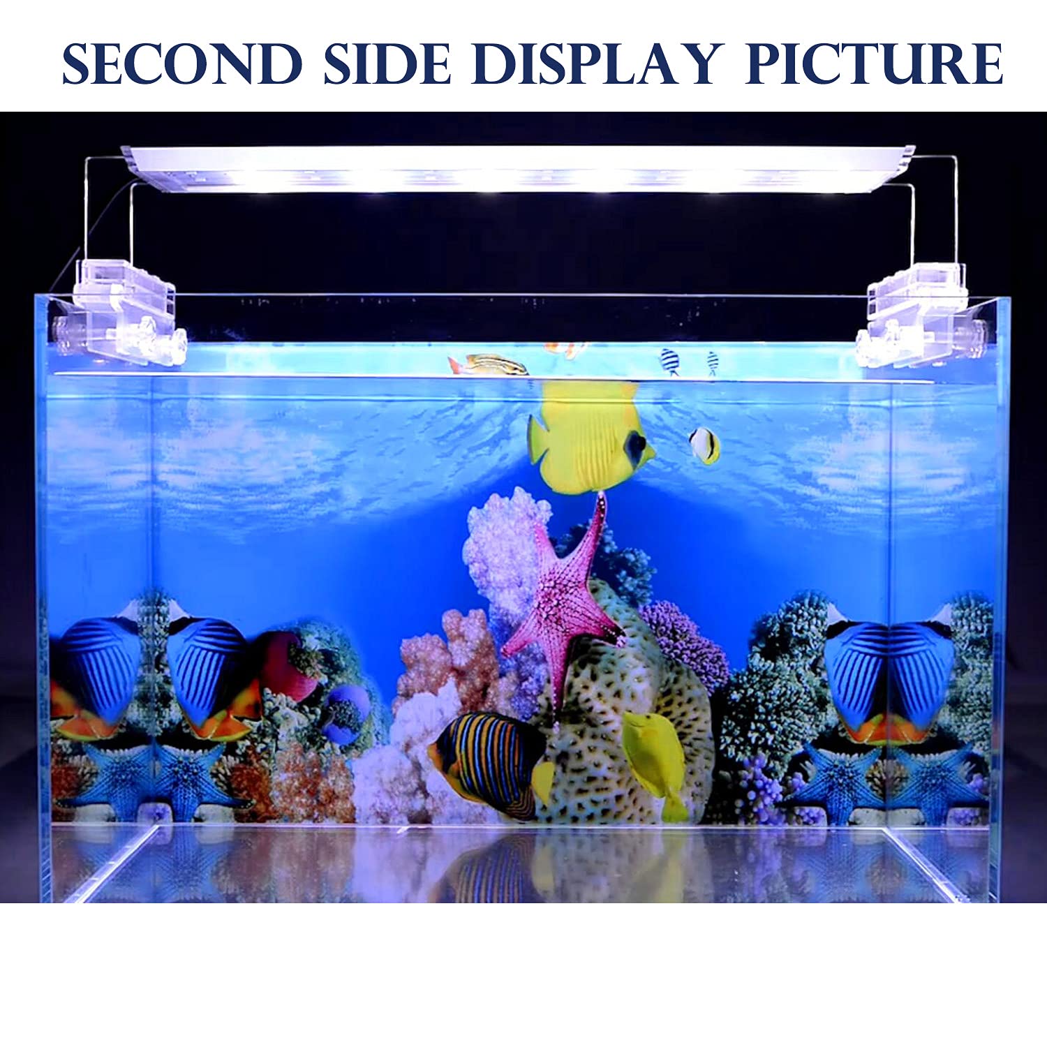 ELEBOX New 23 x 71 Fish Tank Background Paper Wallpaper 2 Sided Colorful Seaweed Water Plants Aquarium Background HD Poster Deco