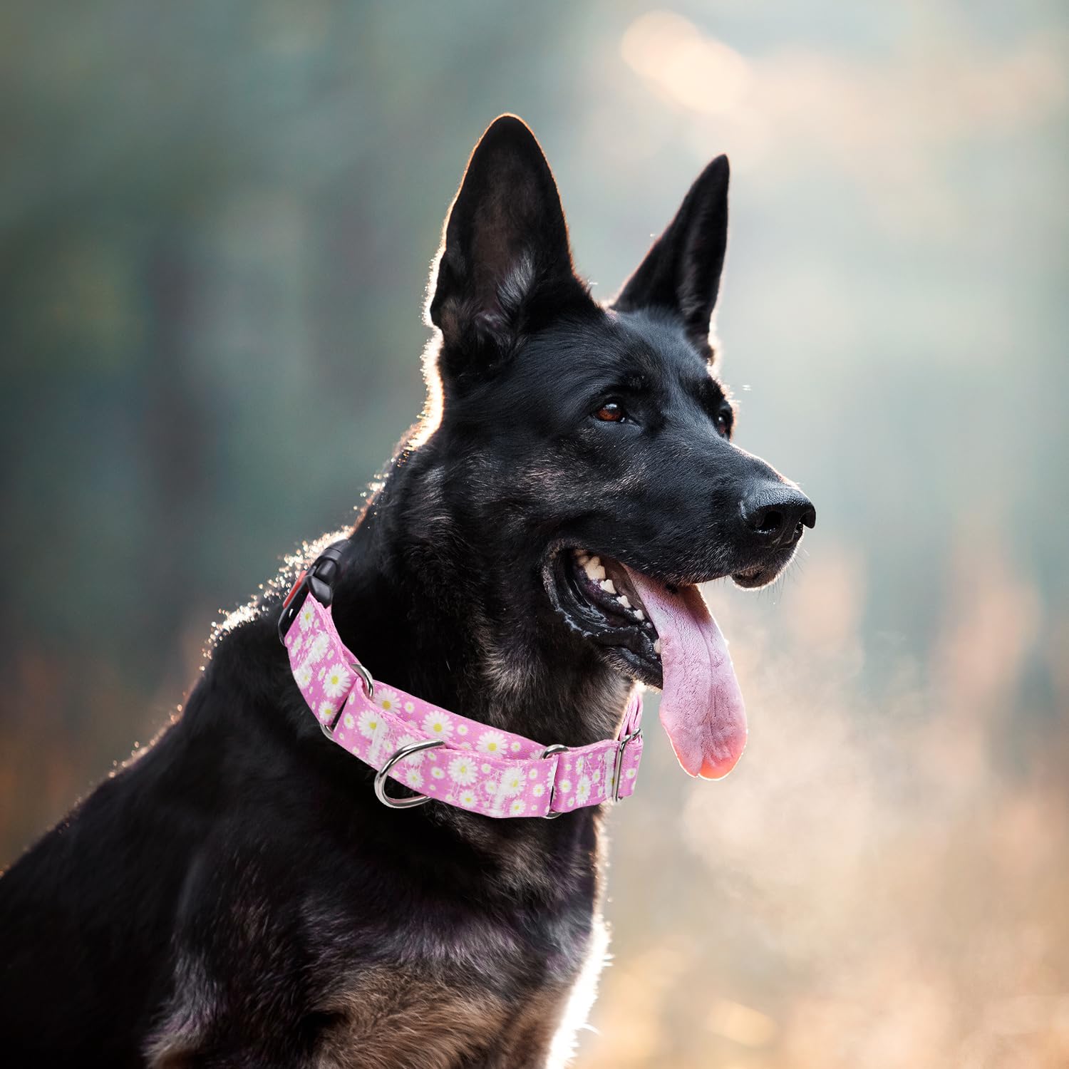 Onefojojo Martingale Collar For Dogs, Pink Daisy Flowers Martingale Dog Collar Adjustable Premium Collar With Quick-Release Buck