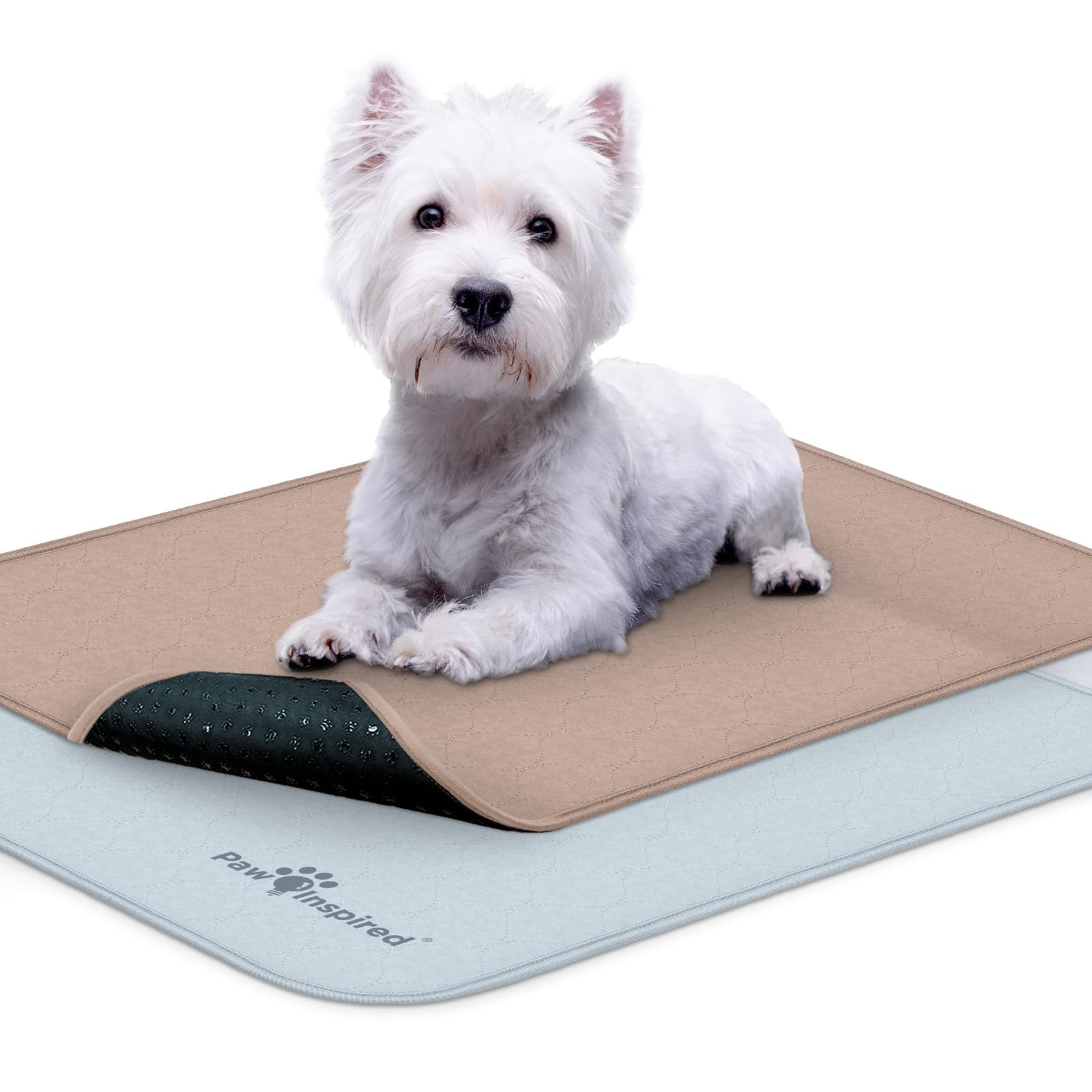 Paw Inspired Washable Crate Liners for Dogs (2 Pack) | Leakproof, Non-Slip Pee Pads for 24-Inch Kennels | Reusable Puppy Pads fo