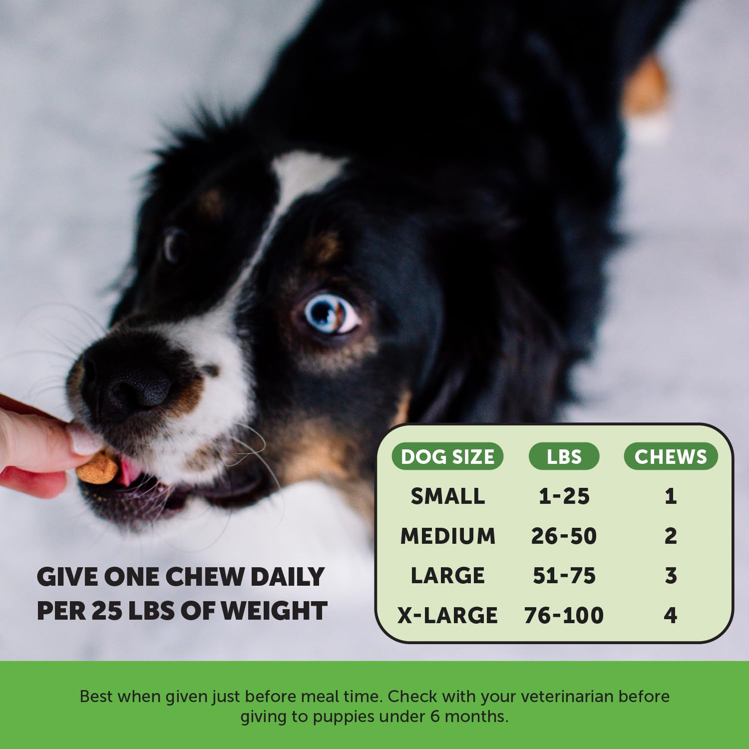 Pet Honesty Bladder Health Cranberry Supplement for Dogs - Kidney Support for Dogs - Cranberry & D-Mannose to Help Support Dog U