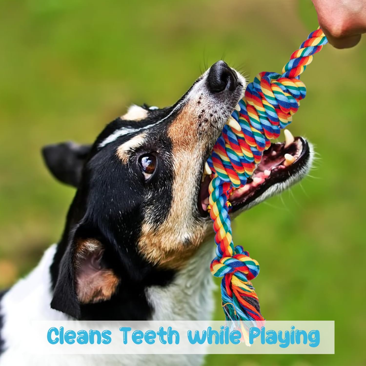 Depets Dog Rope Toy, 4Pcs Assorted Puppy Chew Toy Pack, Durable Rope Knot Dog Toy, Puppy Teething Playing Toys For Small Dogs Pu