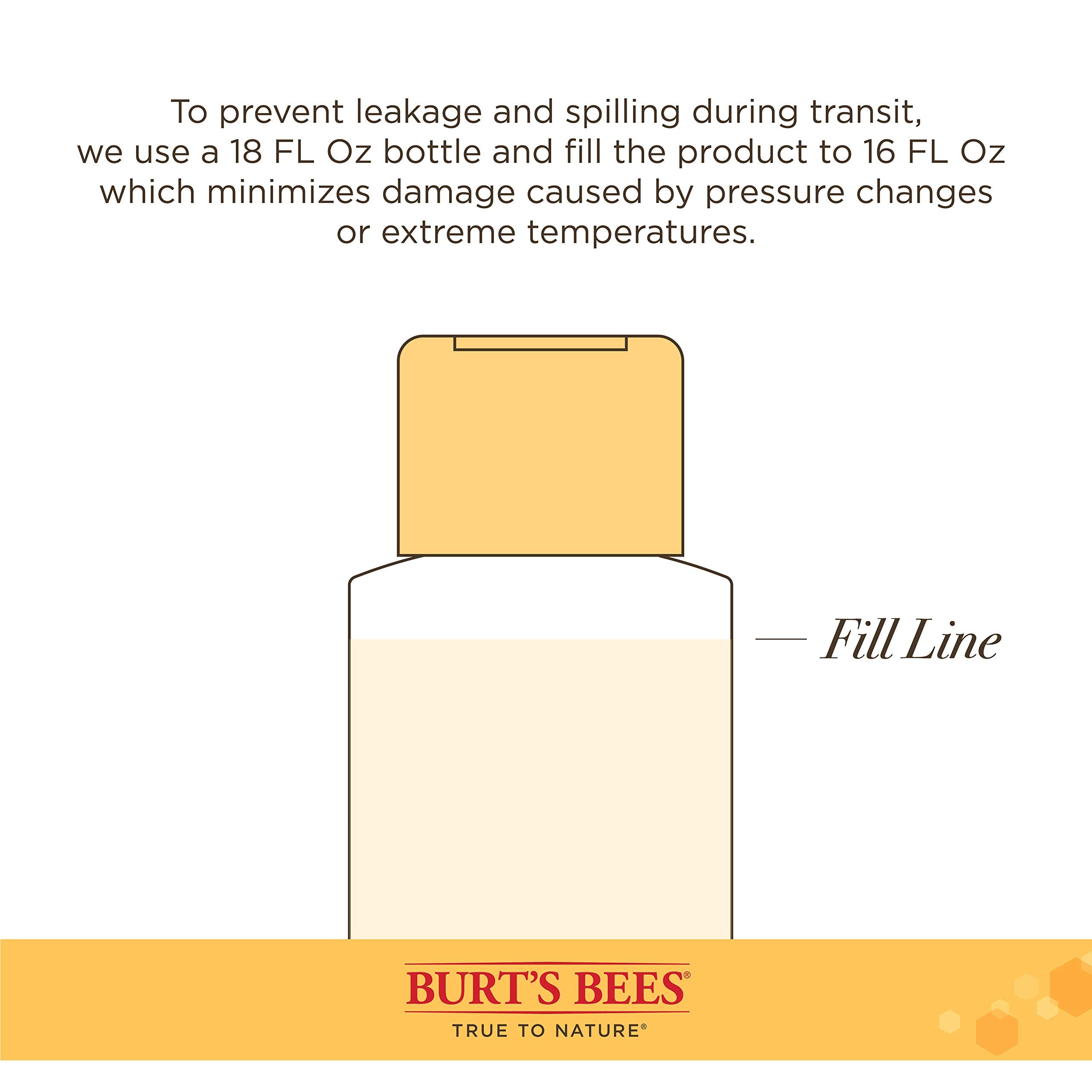 Burt'S Bees For Pets Shed Control Shampoo For Dogs With Omega-3 And Vitamin E, 6Pk, 99.7% Natural Origin Formulas, Dog Shampoo F