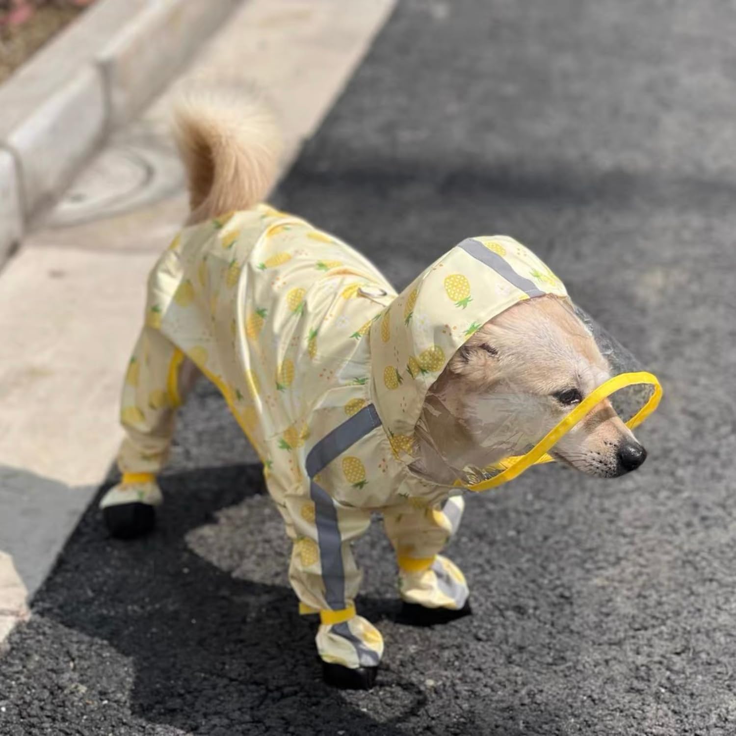 Harikaji Small Dog Raincoat, Tail Protect Feet Cover Waterproof Dog Rain Jacket For Puppy (Pineapple, S)