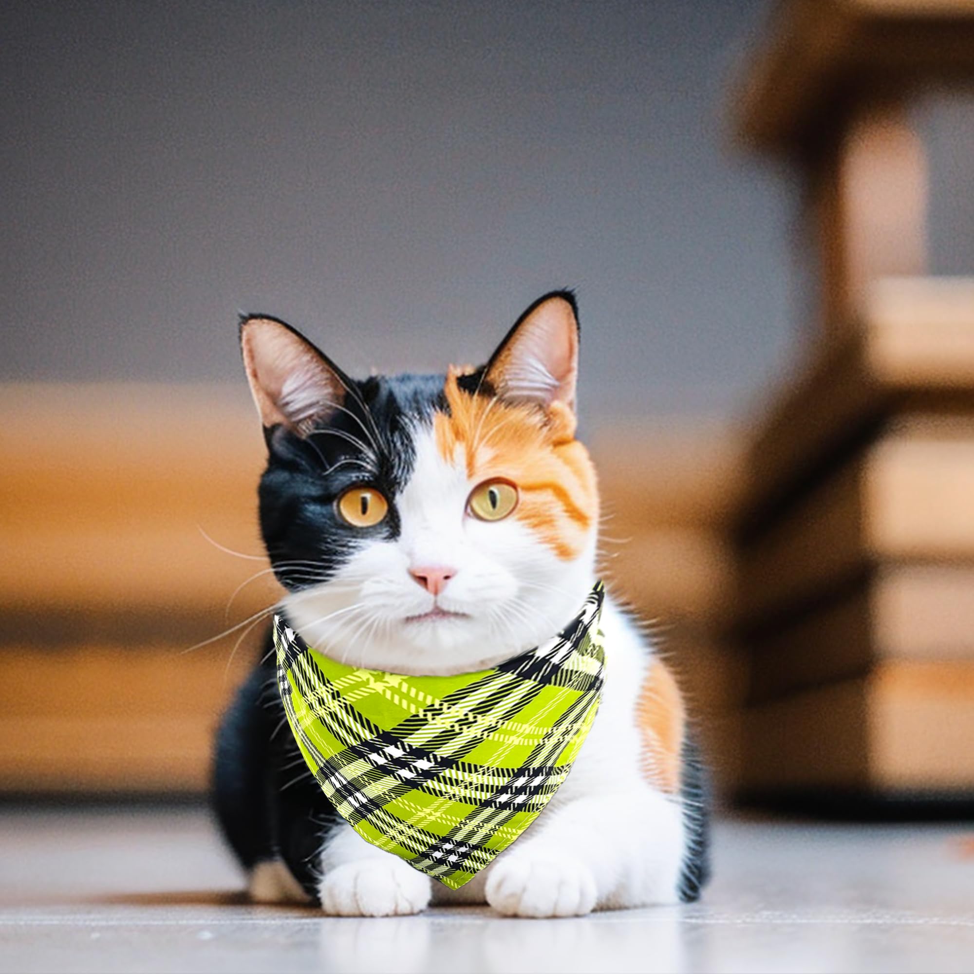 Jpgdn 10Pcs Dog Bandanas Plaid For Xs Small Doggie Puppy Kerchief Washable Triangle Bibs Head Scarves Scarfs For Boys And Girls