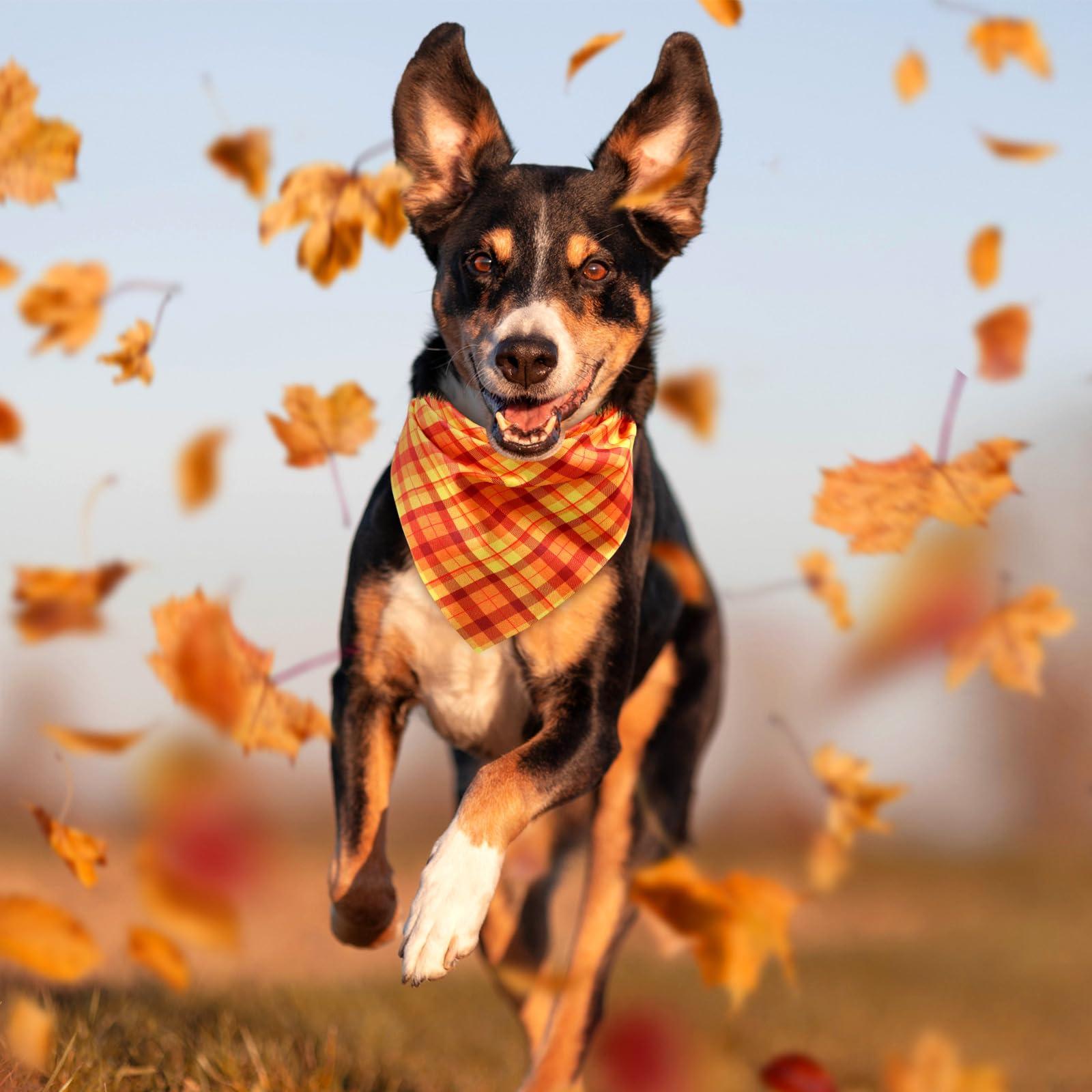 Abbylike 50 Pcs Fall Plaid Dog Bandanas Bulk Thanksgiving Bandanas for Dogs Triangle Kerchief Bibs Scarf for Pets Autumn Costume