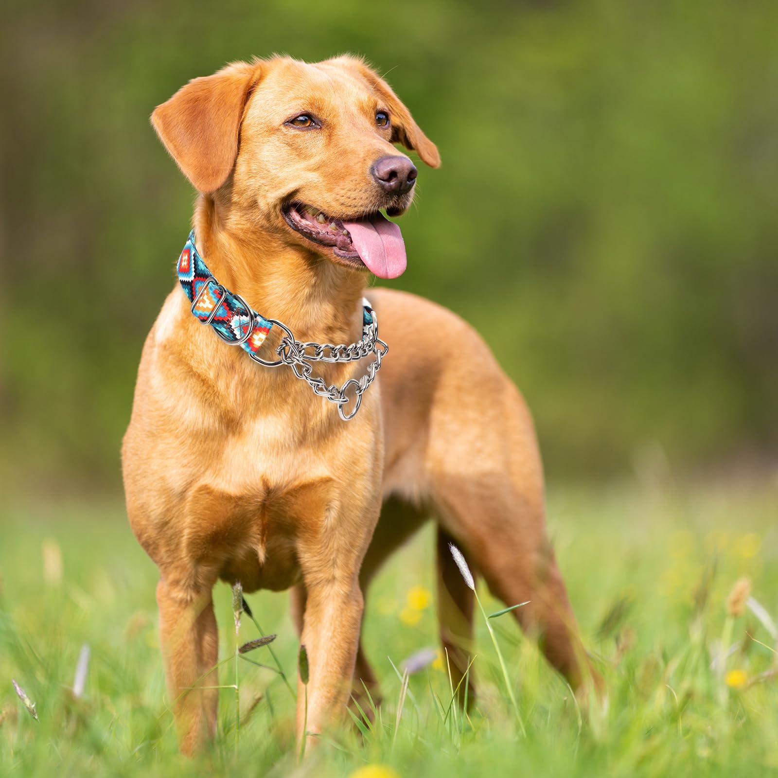 Martingale Dog Collar With Chain, No Pull Slip Cinch Choker Choke Collar Western Boho Aztec Duty Dog Collar For Medium Large Ext