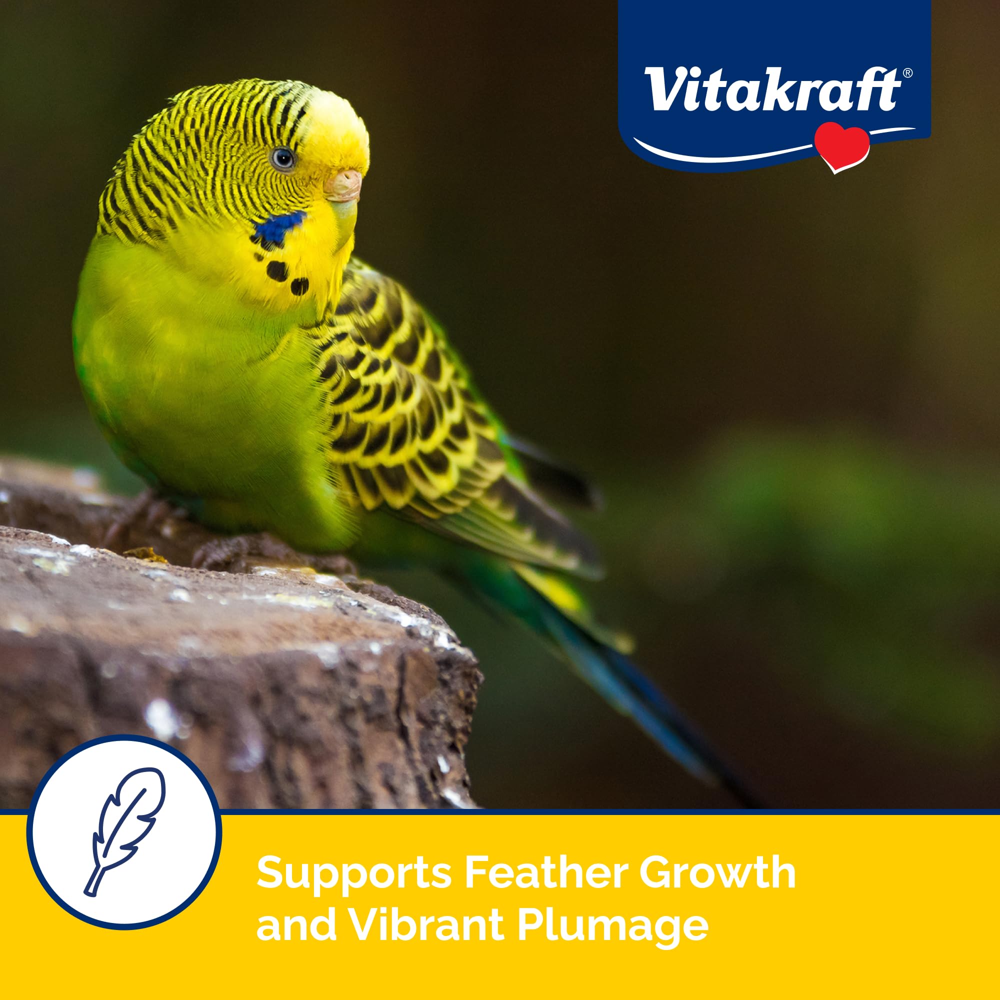 Vitakraft Vita Smart Gourmet Parakeet Food - Vitamin-Fortified - Daily Pet Bird Food 2 Pound (Pack of 1)