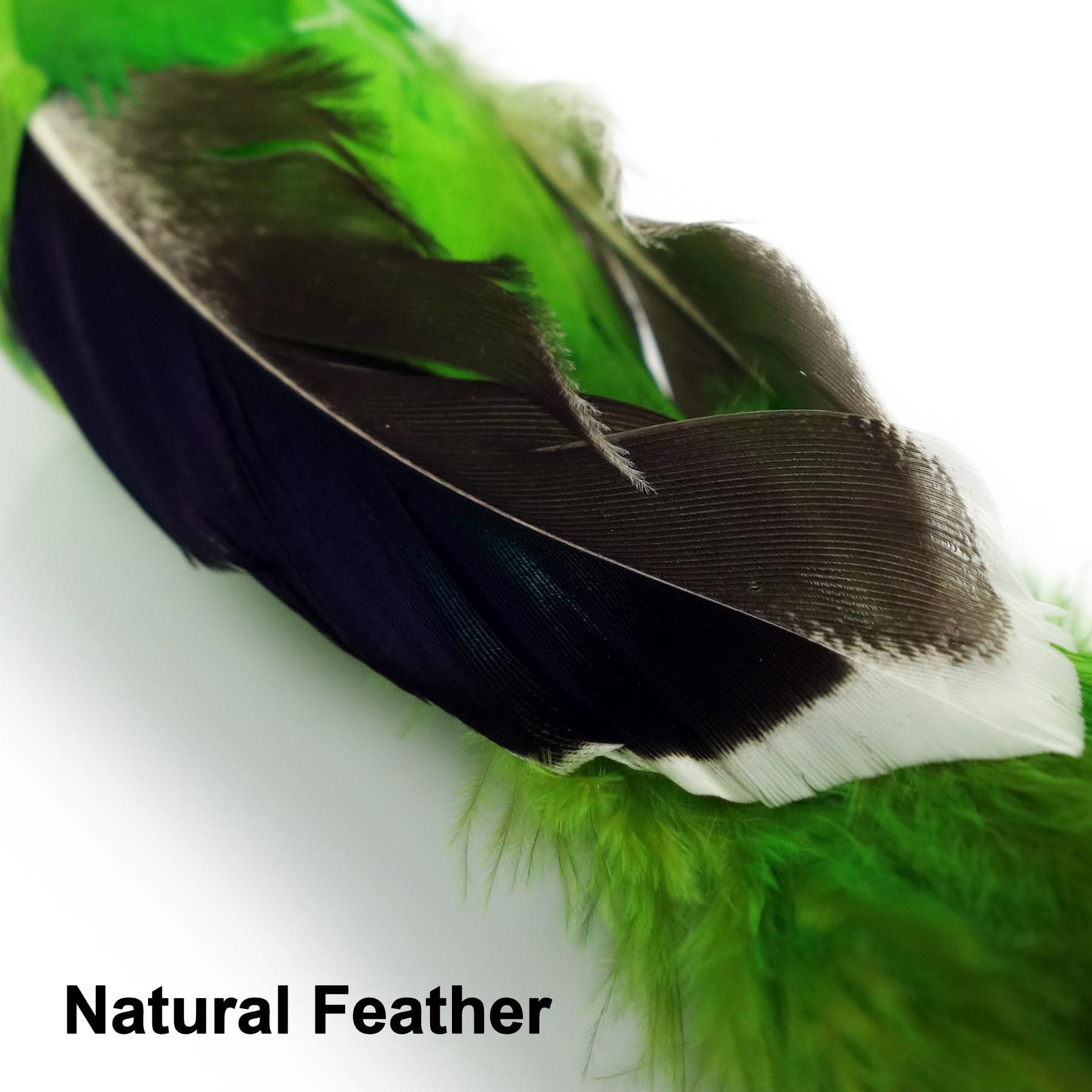 Ttcat 2 Pcs Real Feather Cat Birds Toys Realistic Simulation Birds Toys With Bells For Indoor Cats Kittens.