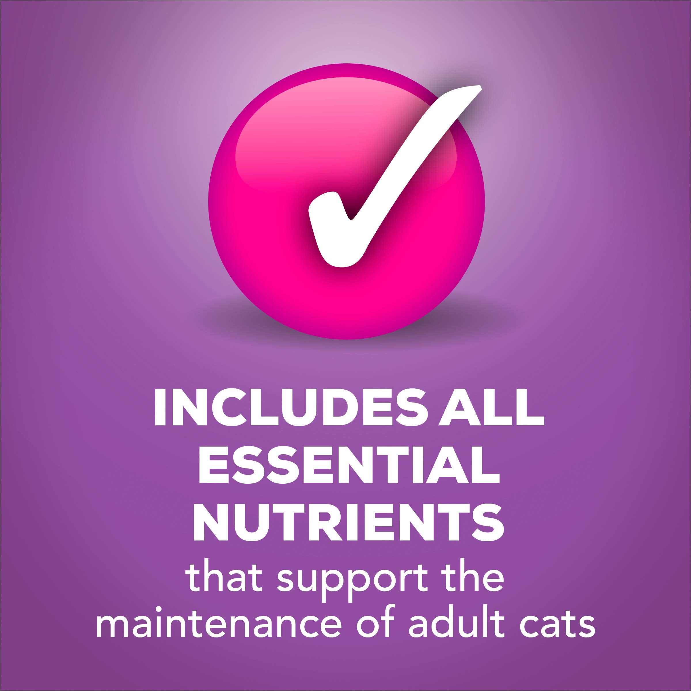 Purina Friskies Wet Cat Food Pate, Tasty Treasures Turkey Chicken Liver, Canned Cat Food Wet, Pack of 24 5.5 oz Cans