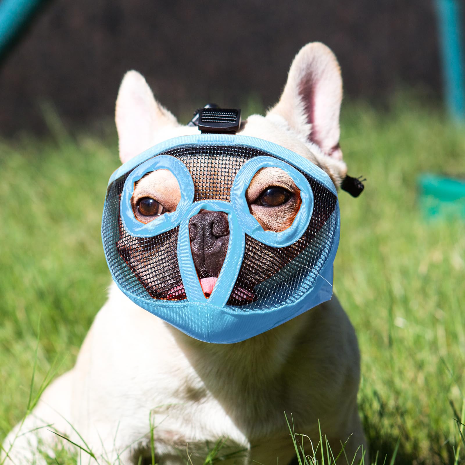Jyhy Short Snout Dog Muzzles- Adjustable Breathable Mesh Bulldog Muzzle For Biting Chewing Licking Training Grooming Dog Mask (B