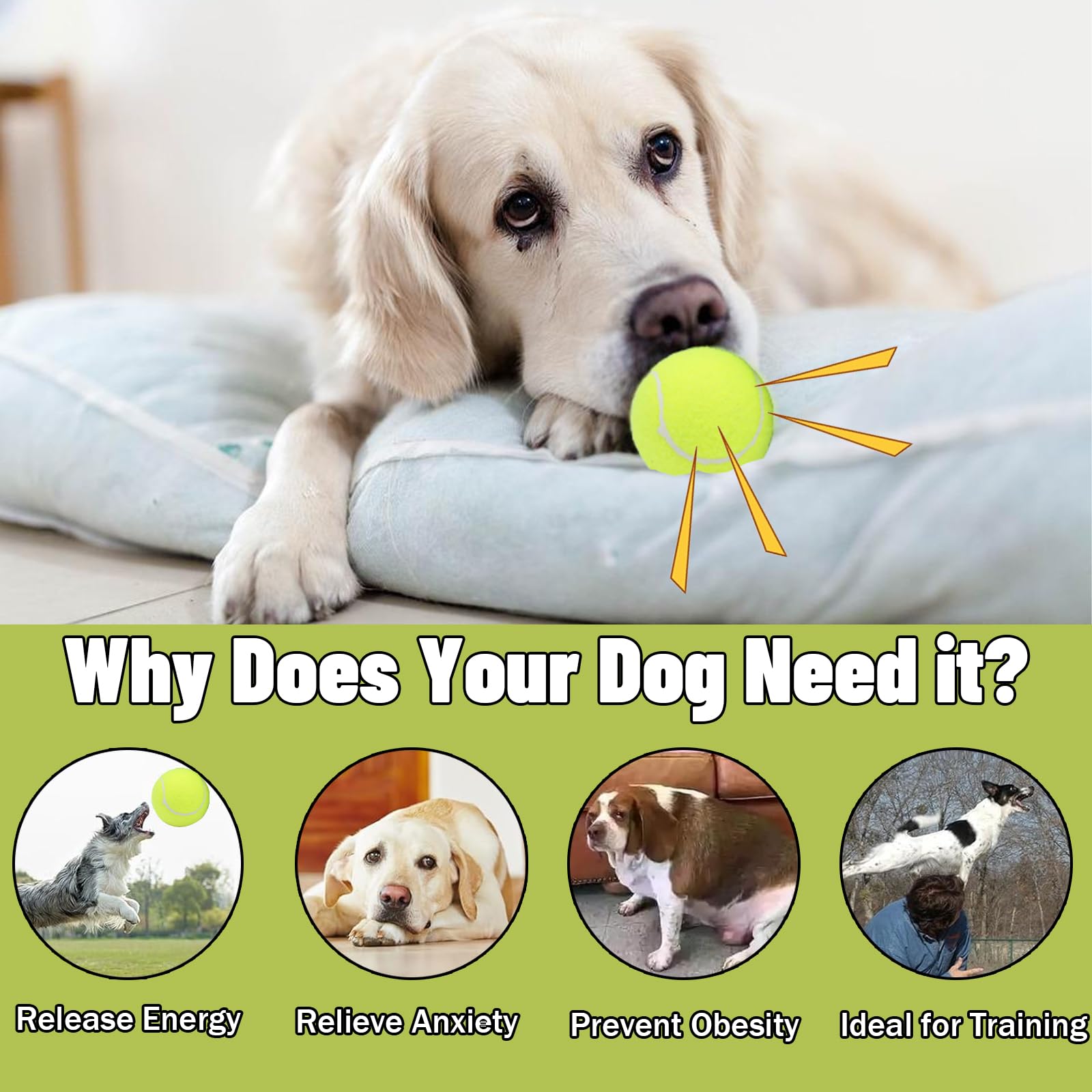 Magicorange Dog Tennis Balls, 20 Pack 2.5 Inch Floatable Squeaky Tennis Balls For Fetch Exercise, Natural Rubber Squeaky Dog Bal