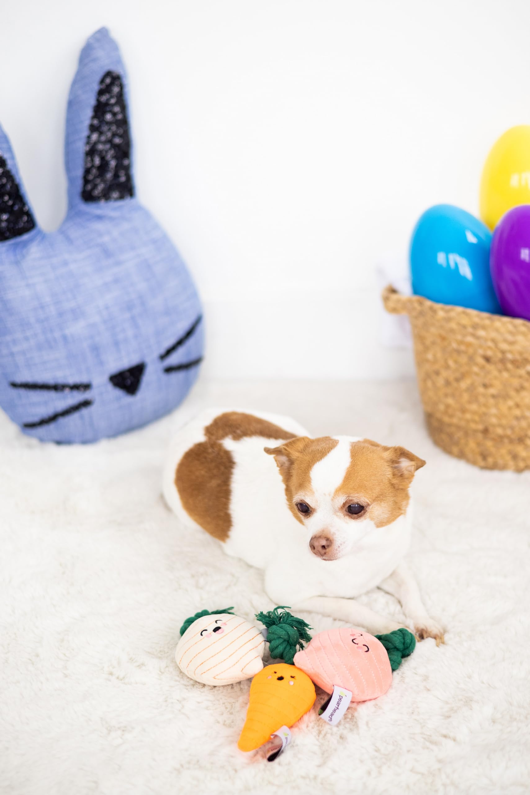 Pearhead Spring Garden Veggies Dog Toys, Radish, Carrot and Turnip Squeaky Rope Toys, Gift for Pet Parents, Vegetable Plush Dog
