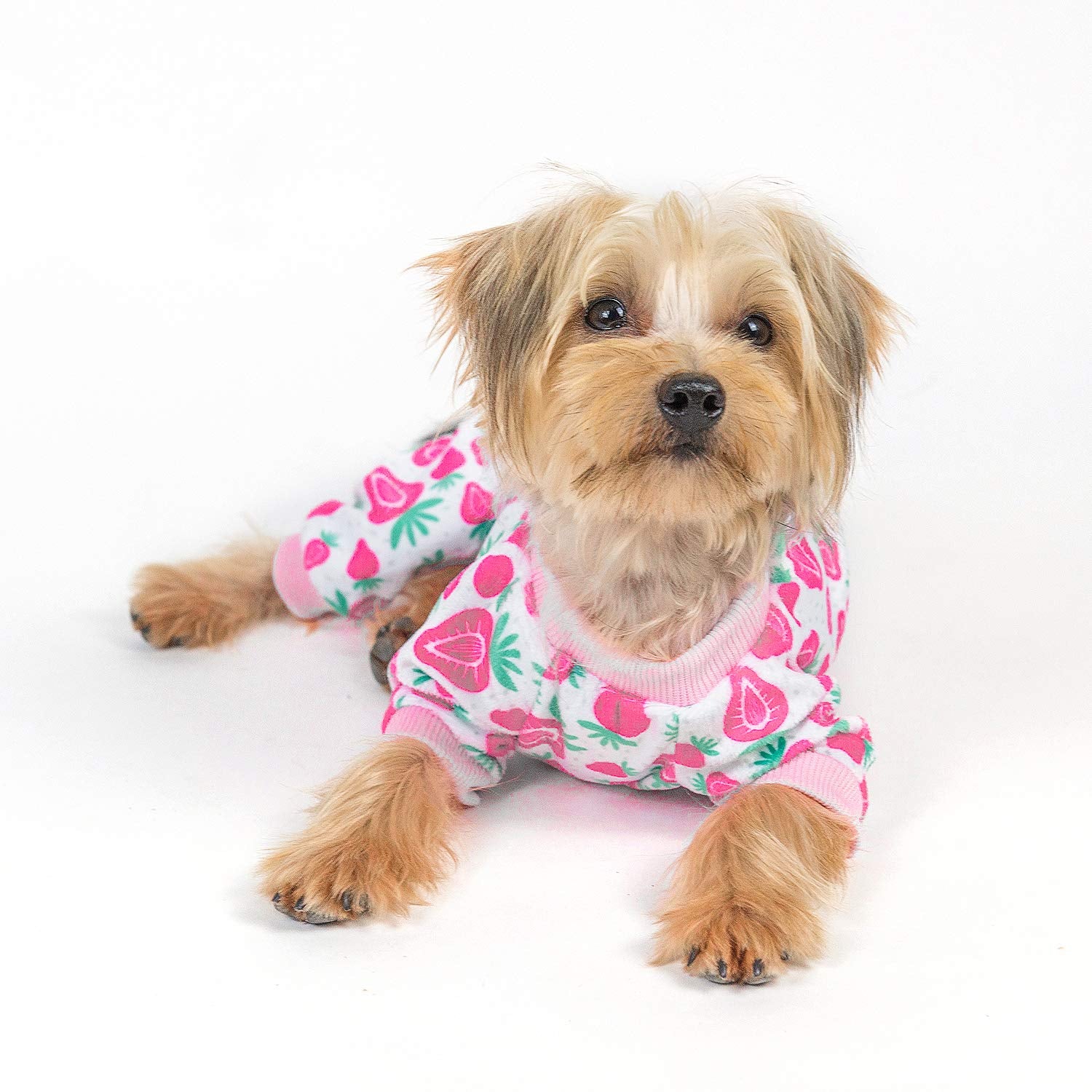 Cutebone Dog Christmas Pajamas Sweater Gifts For Small Dogs Clothes P136M