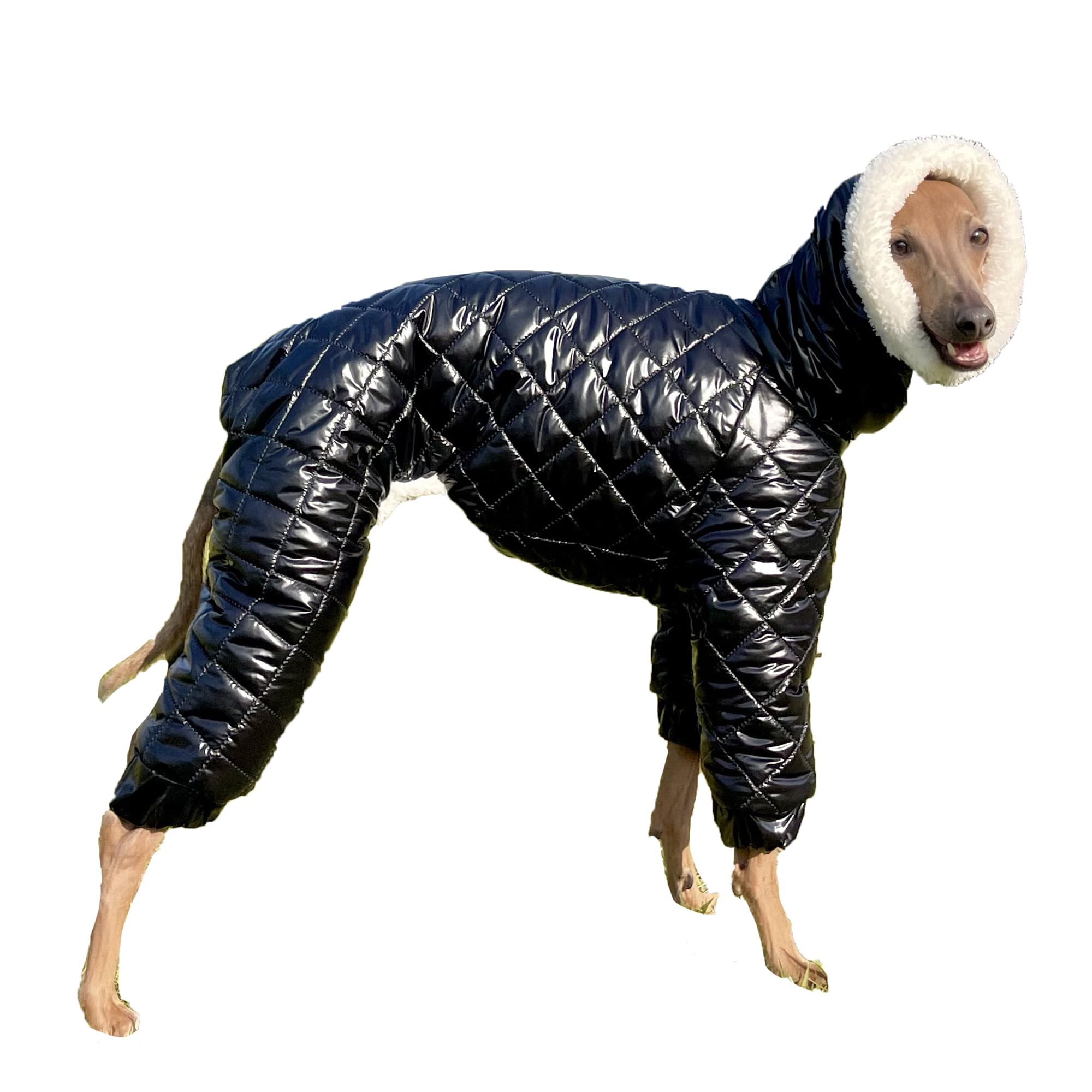 D Doggy Star Italian Greyhound Snowsuit Winter Thick Padded Coat Warm Outfits Jacket Turtleneck Clothes Whippet For Dog (S,Snows