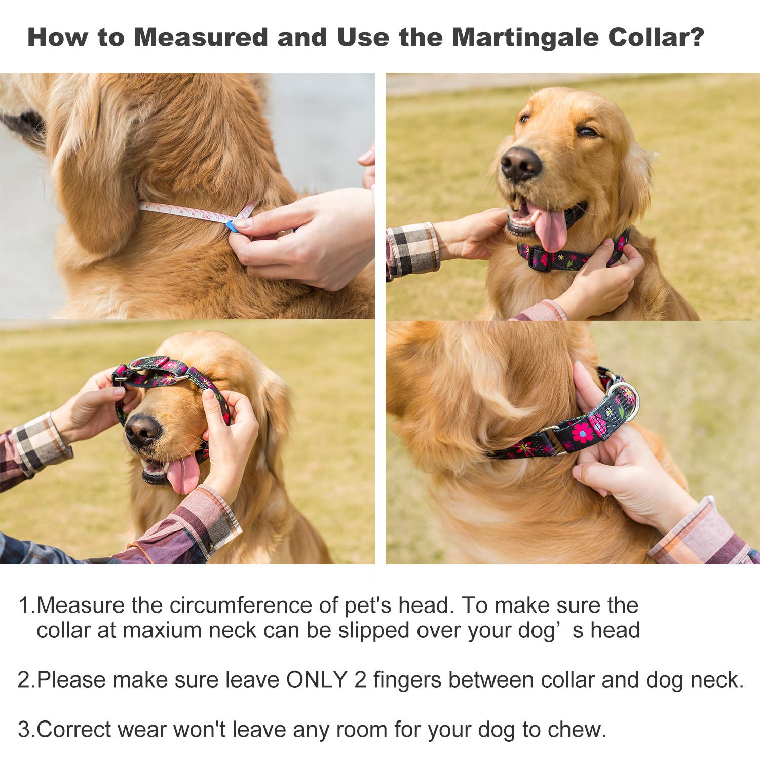 Dazzber Martingale Collar Floral Print Dog Collar - No Pull Pet Collar, Heavy Duty For Medium Dogs, Adjustable Neck 14 Inch To 2