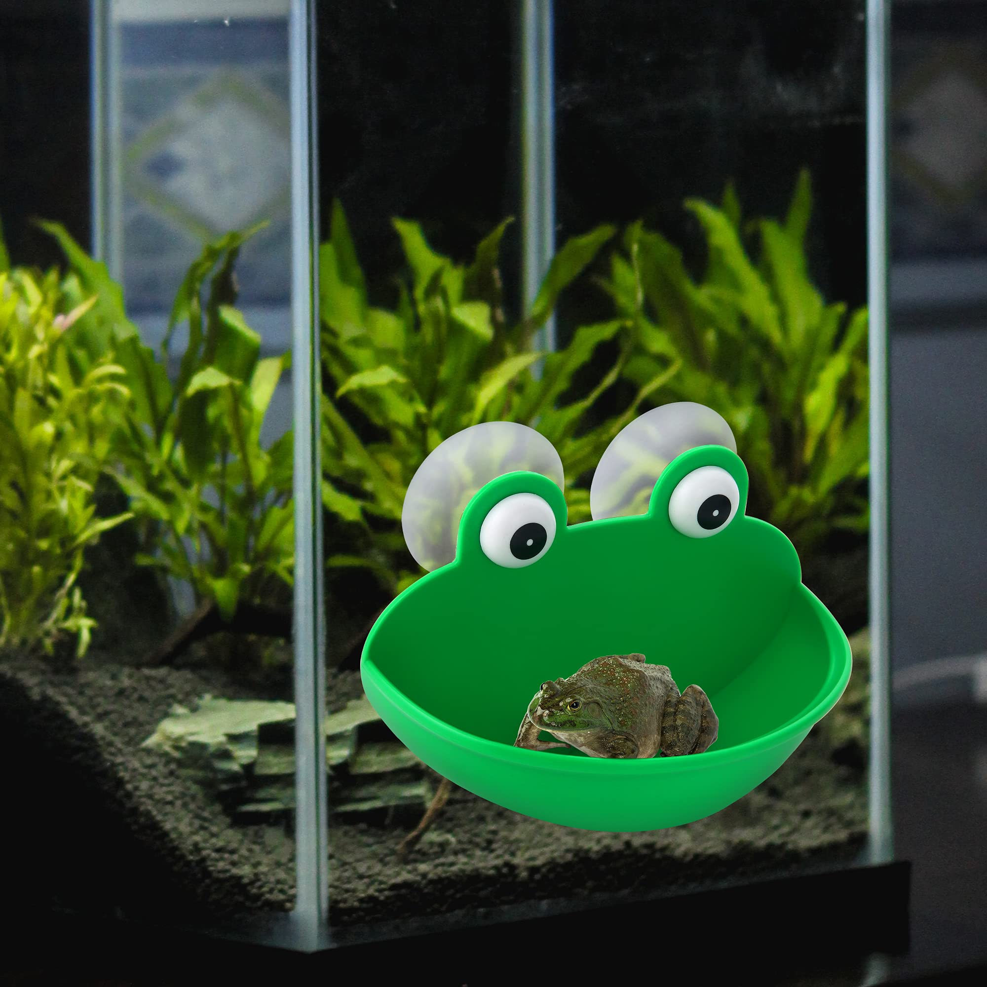 Pensino Frog Habitat Frog Dish Holder With Suction Cups, Cute Frog Terrarium Decor Fish Tank Decoration For Tree Frog Toad Tadpo