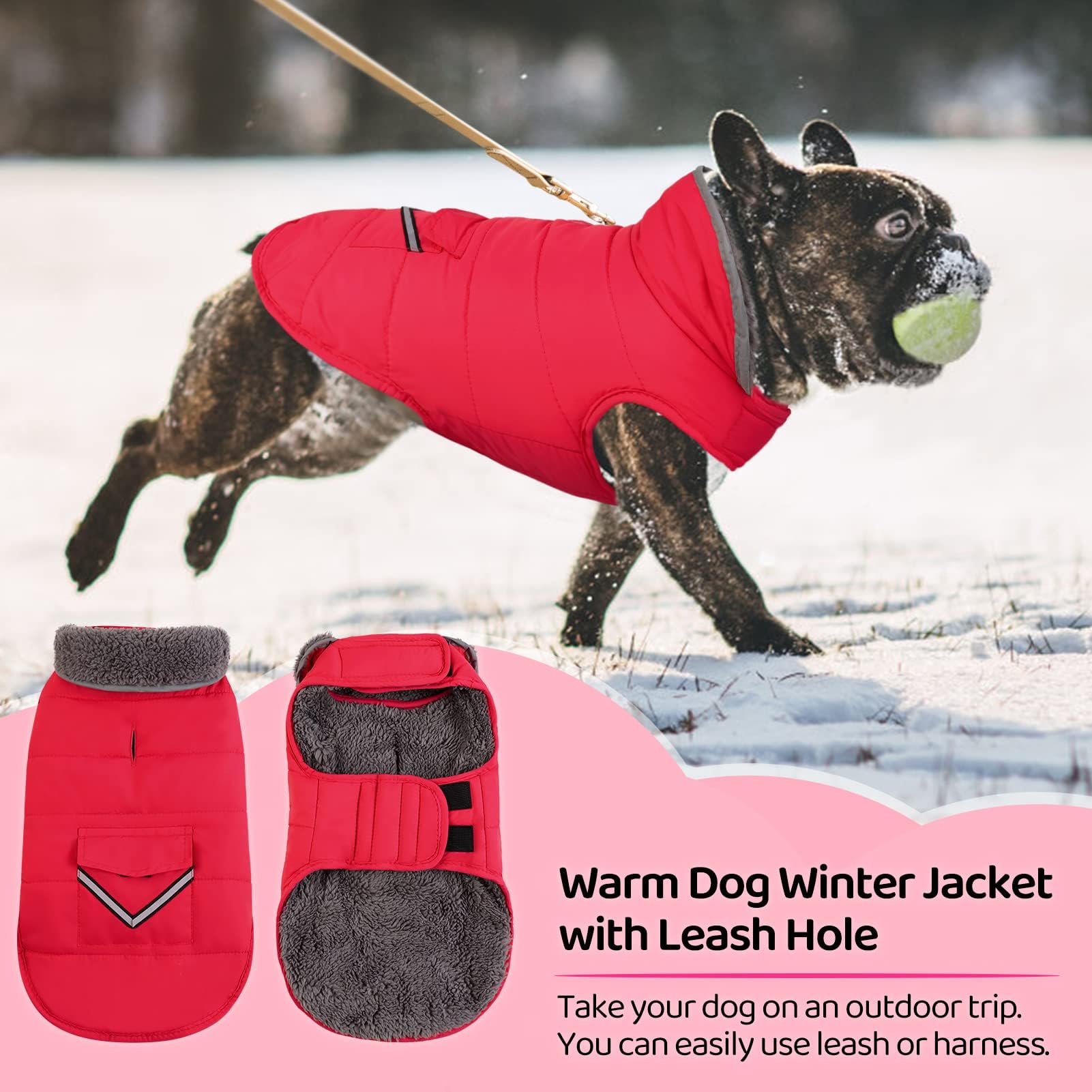 MIGOHI Winter Dog Jacket, Windproof Dog Fleece Vest with Leash Hole and Furry Collar, Reflective, Red, Small to Large