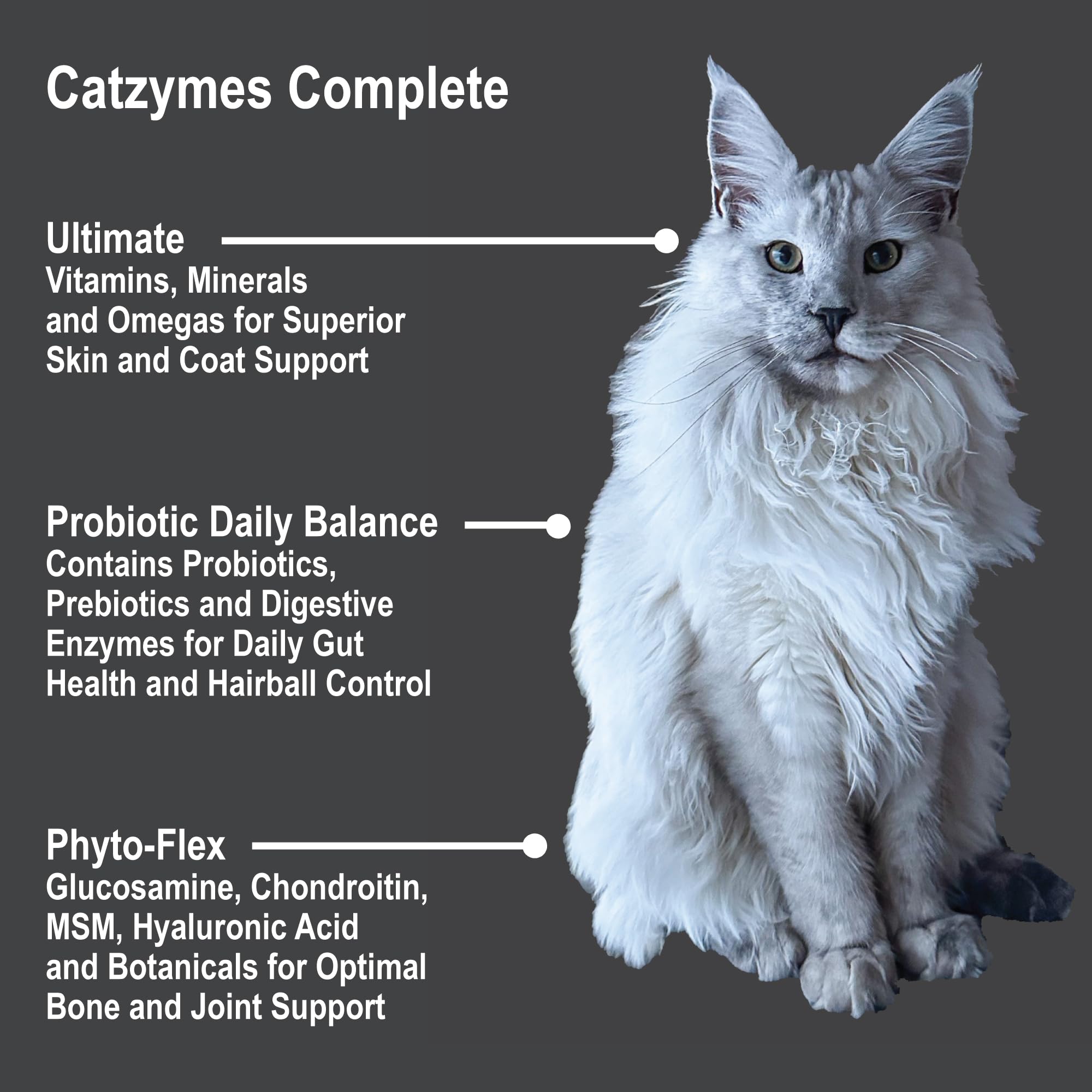 Catzymes Complete (8 Ounce)