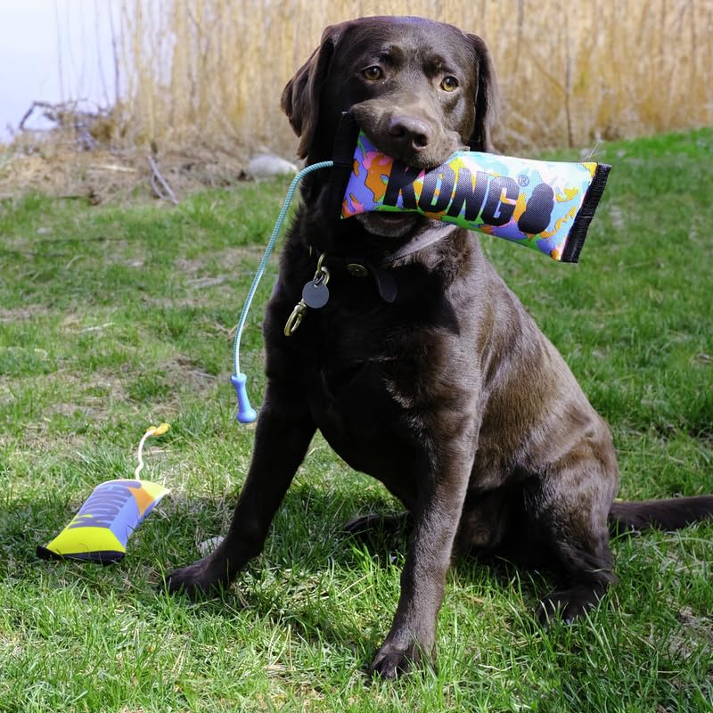 Kong Wubba Ballistic High-Viz Dog Toy - Squeaky Durable Tug & Toss Toy - Bright Colors For High Visibility - (High-Viz Wubba/Bum