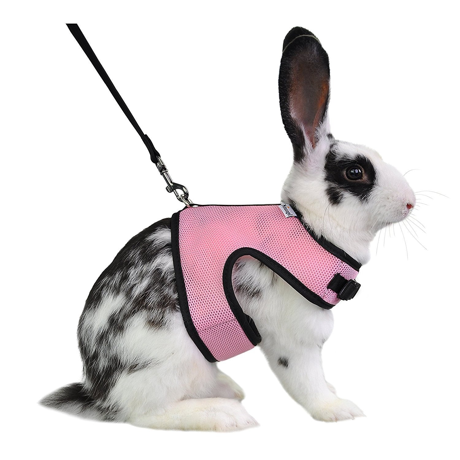 Niteangel Adjustable Soft Harness With Elastic Leash For Rabbits (L, Pink)