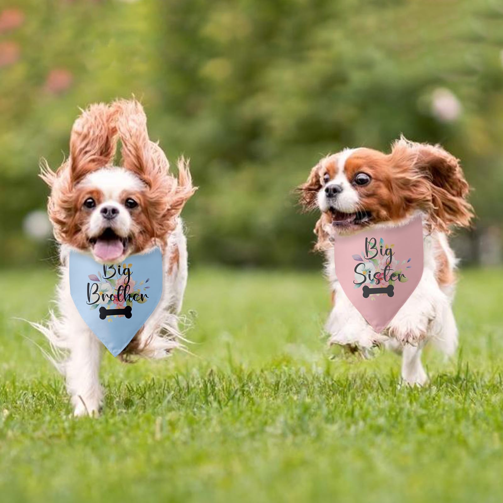 2 Packs Gender Reveal Gifts Big Sister Big Brother Bone Bandana Pregnancy Announcement Photo Props Scarf Accessories Cool Ideas