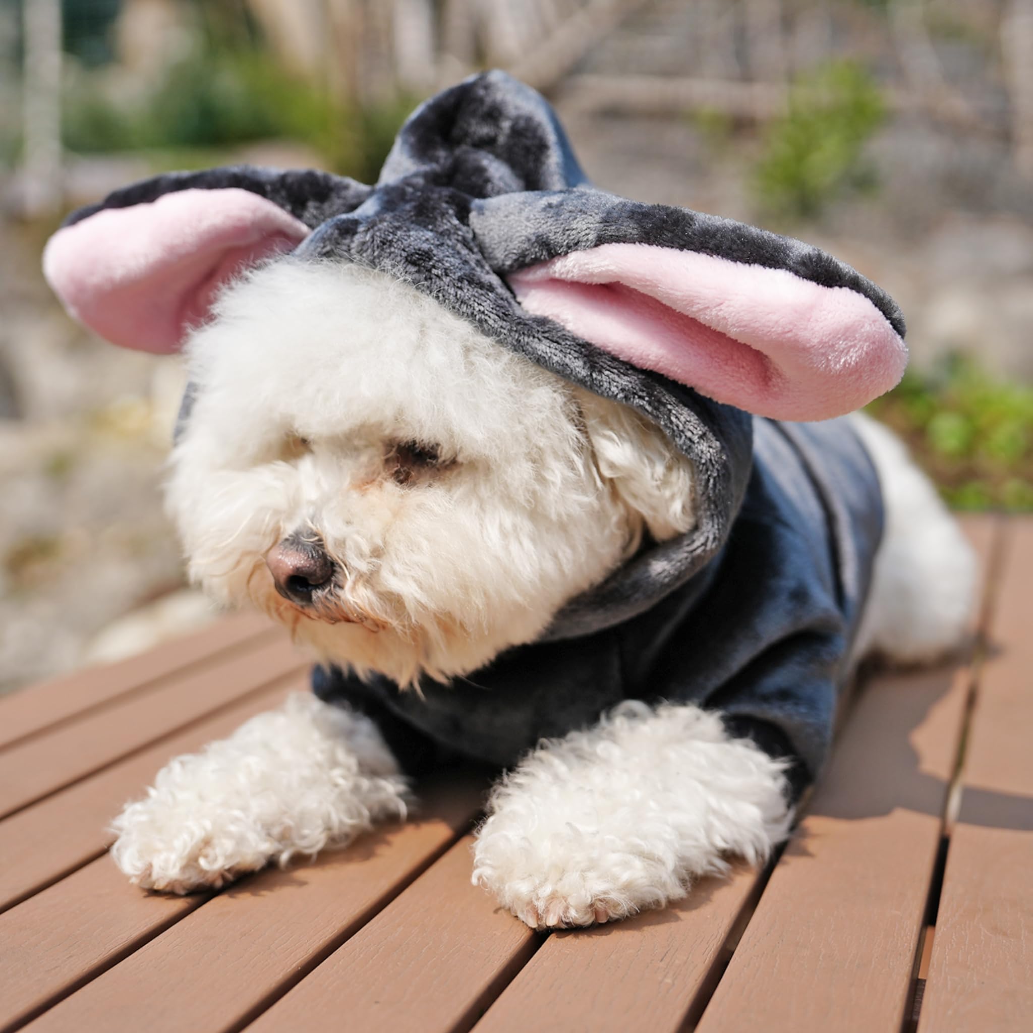 Cheertails Dog Sweaters For Small Medium Dogs Girl Boy, Cute Bunny Dog Costumes For Small Medium Dogs, Fleece Dog Winter Coats W