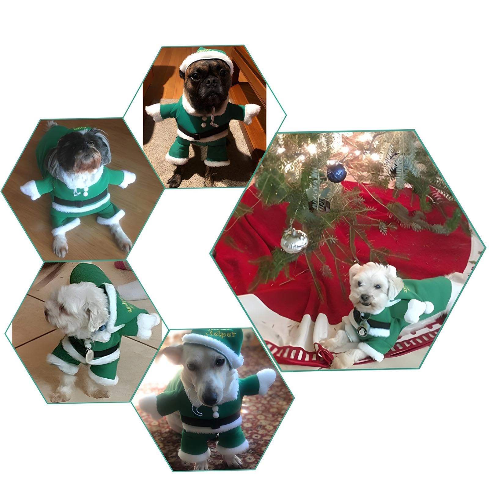 Nacoco Pet Christmas Costumes Dog Suit With Cap Santa Claus Suit Dog Hoodies Cat Xmas Costumes (Green, Xxl)