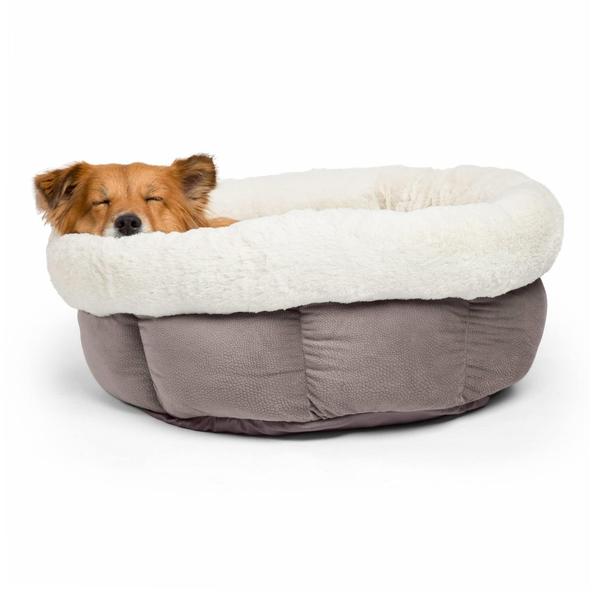 Best Friends By Sheri Cuddle Cup Ilan Cozy Microfiber Cat And Dog Bed In Jumbo Gray