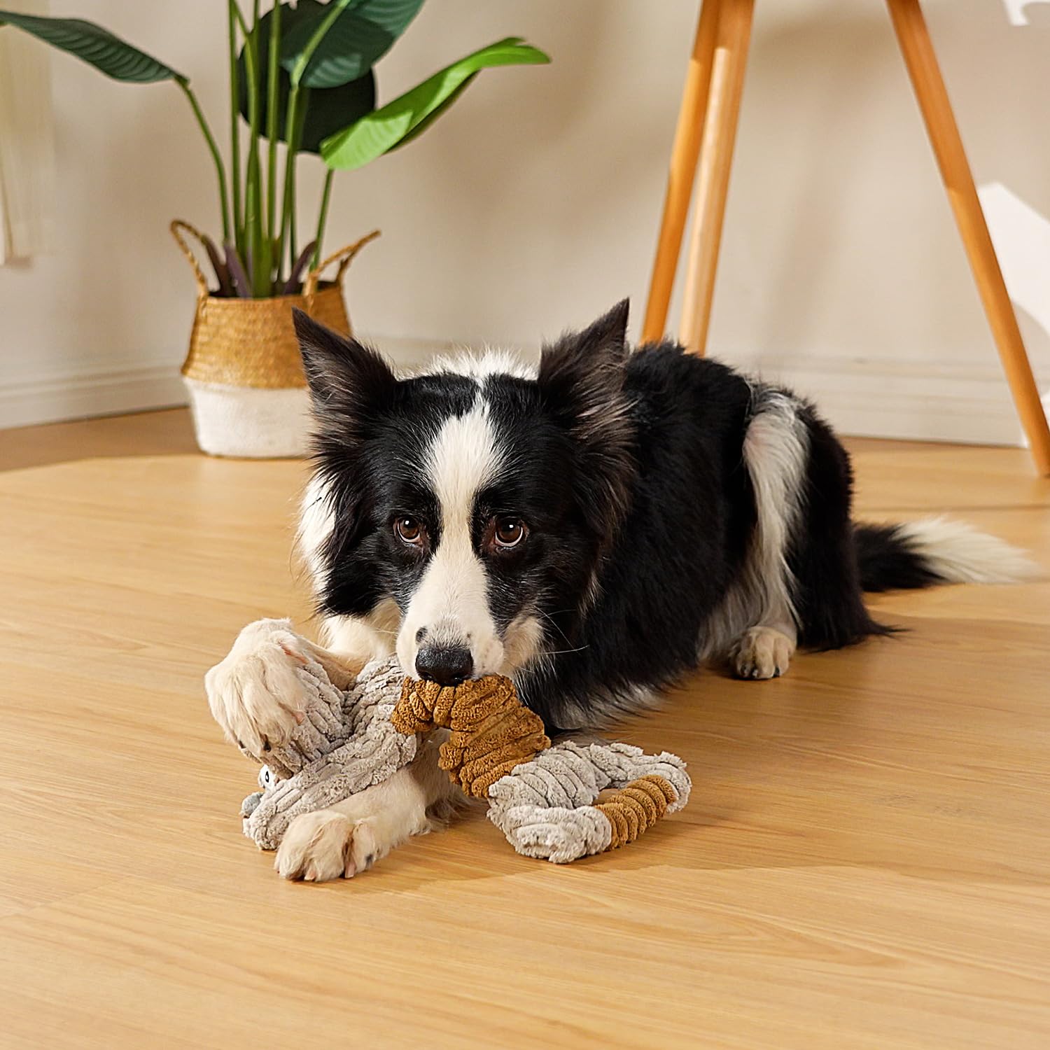Squeaky Dog Toy, Durable Dog Toy Large Breed, Tug Of War Dogs Interactive Toy, Stuffed Plush Puppy Toys With Crinkle Paper For S
