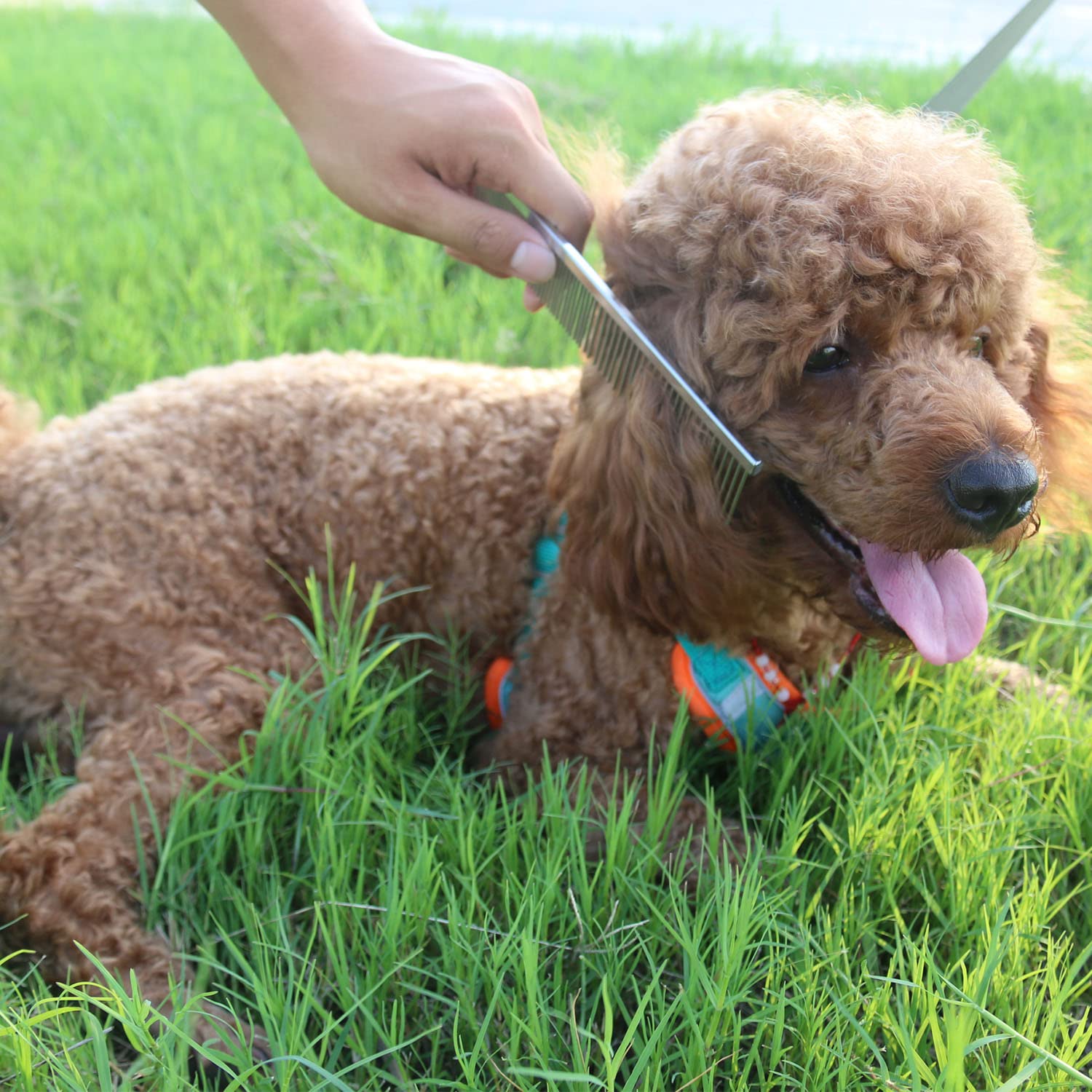 Ropo Dog Comb Tool For Removing Matted Fur - Pet Dematting Comb With Rounded Teeth And Non-Slip Grip Handle - Prevents Knots And Mats For Long And Short Haired Pets (Square Handle, Silver)