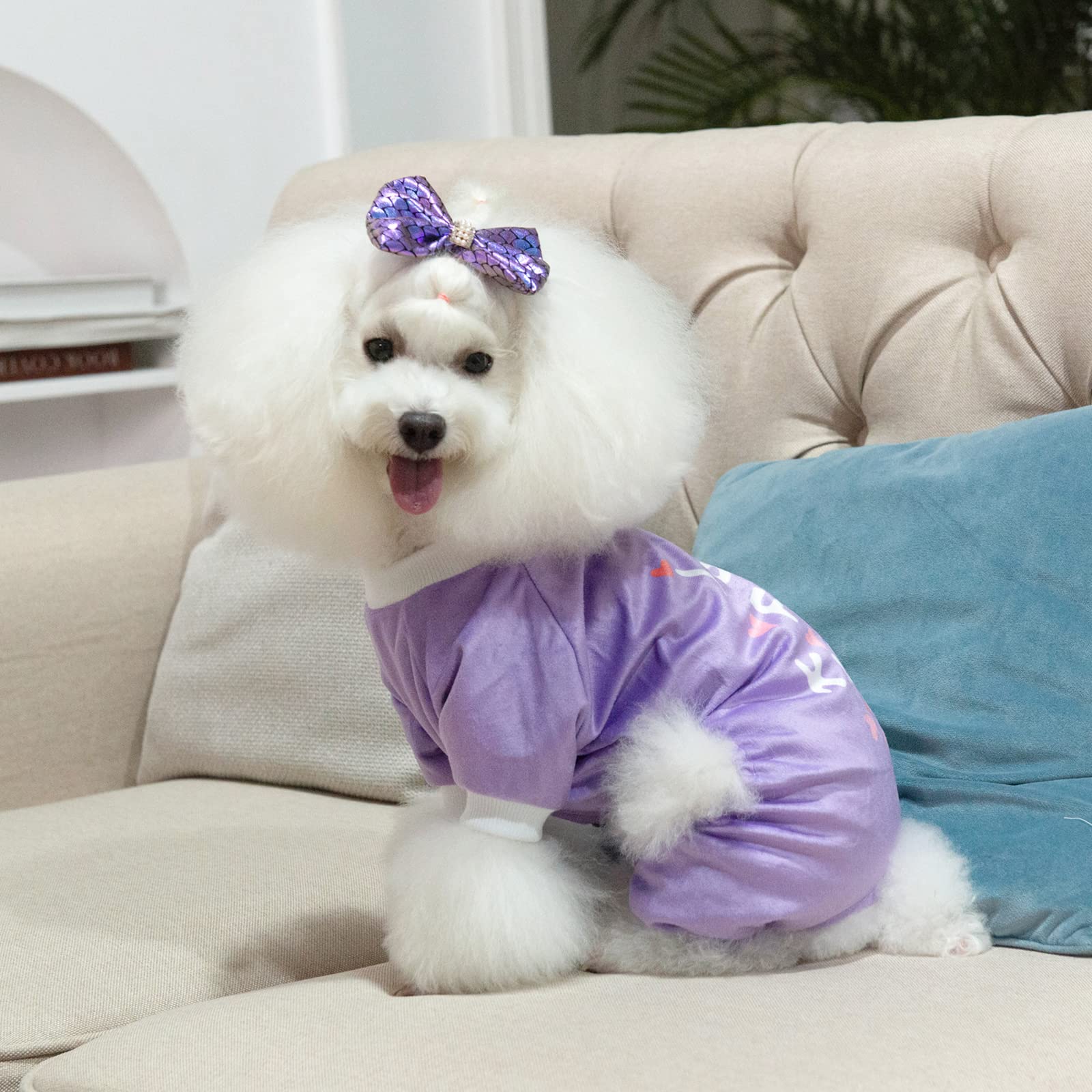 Cutebone Trend Letters Dog Pajamas Clothes Soft Puppy Pjs For Small Dogs P246S