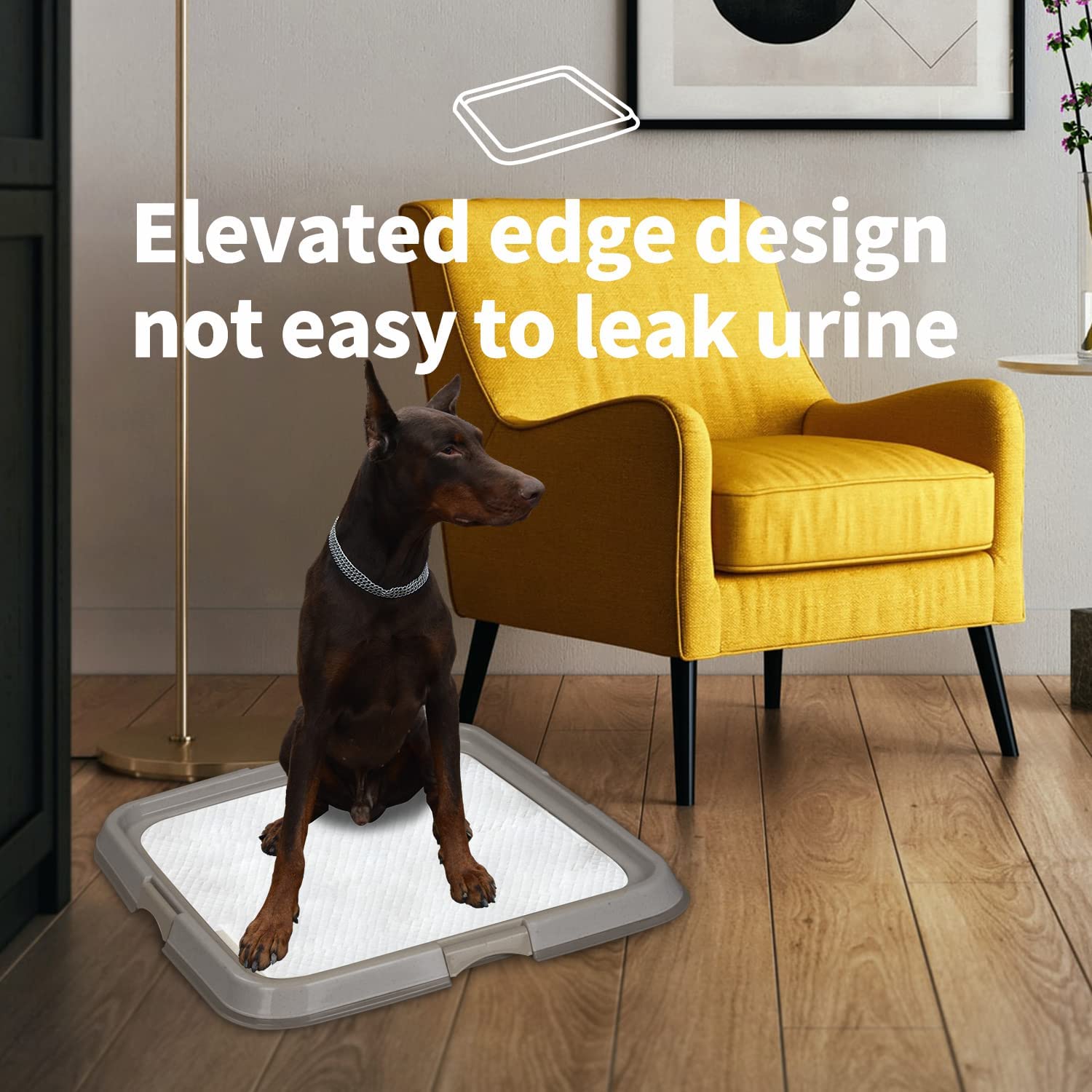 Pawise Pee Pad Holder - Puppy Training Pads - Bester Tragbarer Töpfchentrainer - Indoor Dog Potty - Puppy Essentials - Hundetraining Holder - Puppy Pad Holder - Pet Pee Holder (60 X 60 Cm) 24X24 In