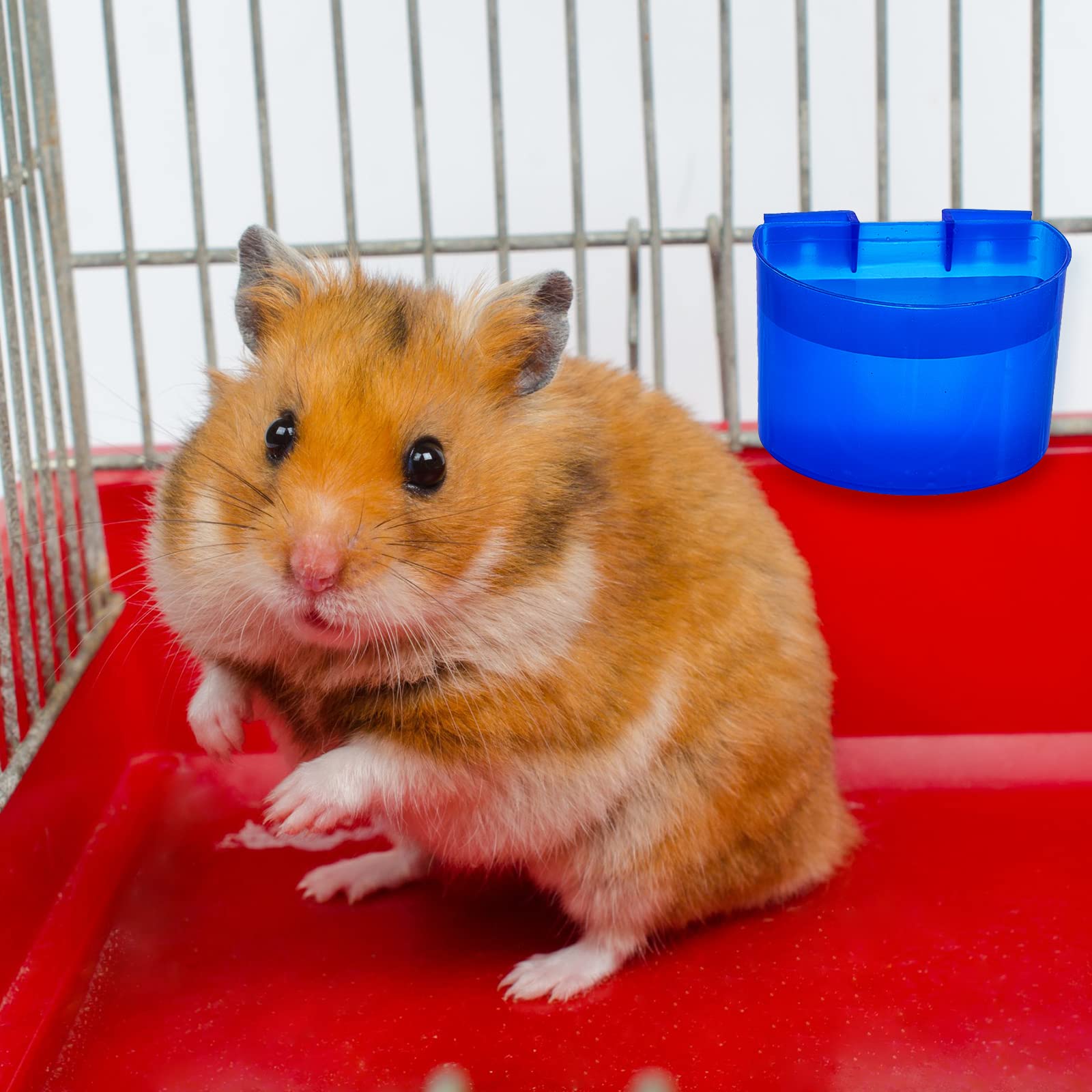 Suclain 30 Pcs Blue Cage Feeders Birds Cage Cups Plastic Hanging Feeding Cups Seed Bowl Chicken Feeding Watering Dish With Hooks