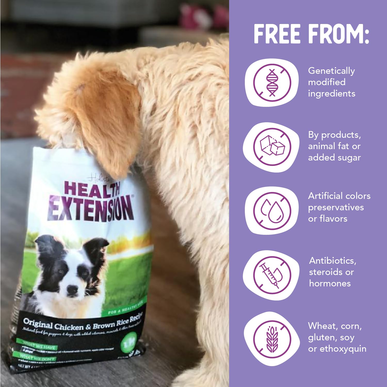 Health Extension Original Chicken & Brown Rice Dry Dog Food (4 lb / 1.81 kg) - Protein-Packed Formula with Probiotics, Omega 3 f