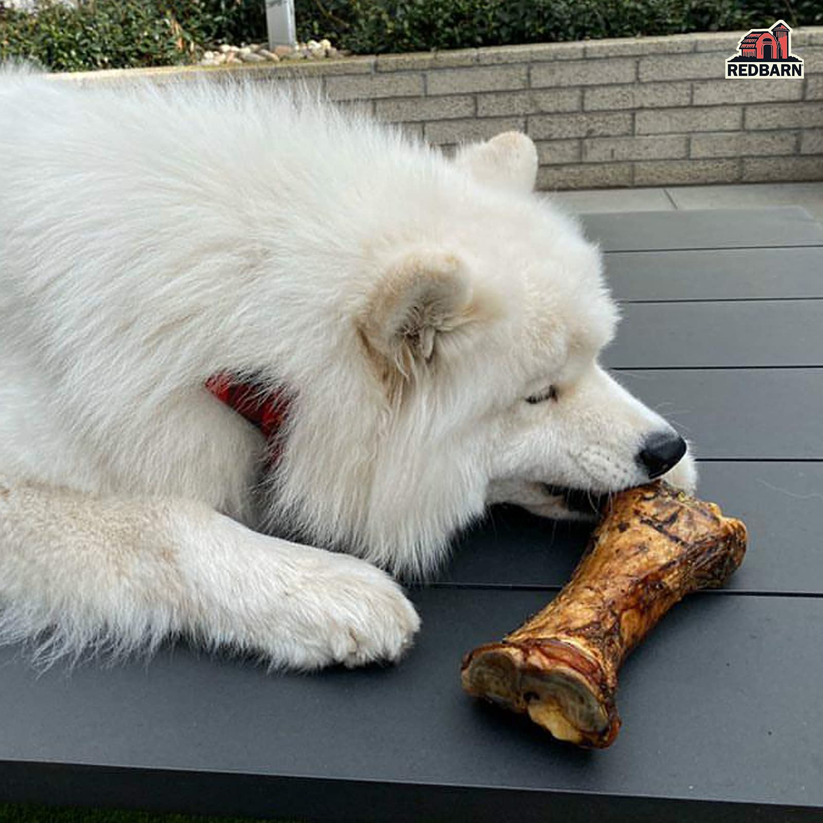 Redbarn Meaty Bone for Dogs, X-Large 1-Count